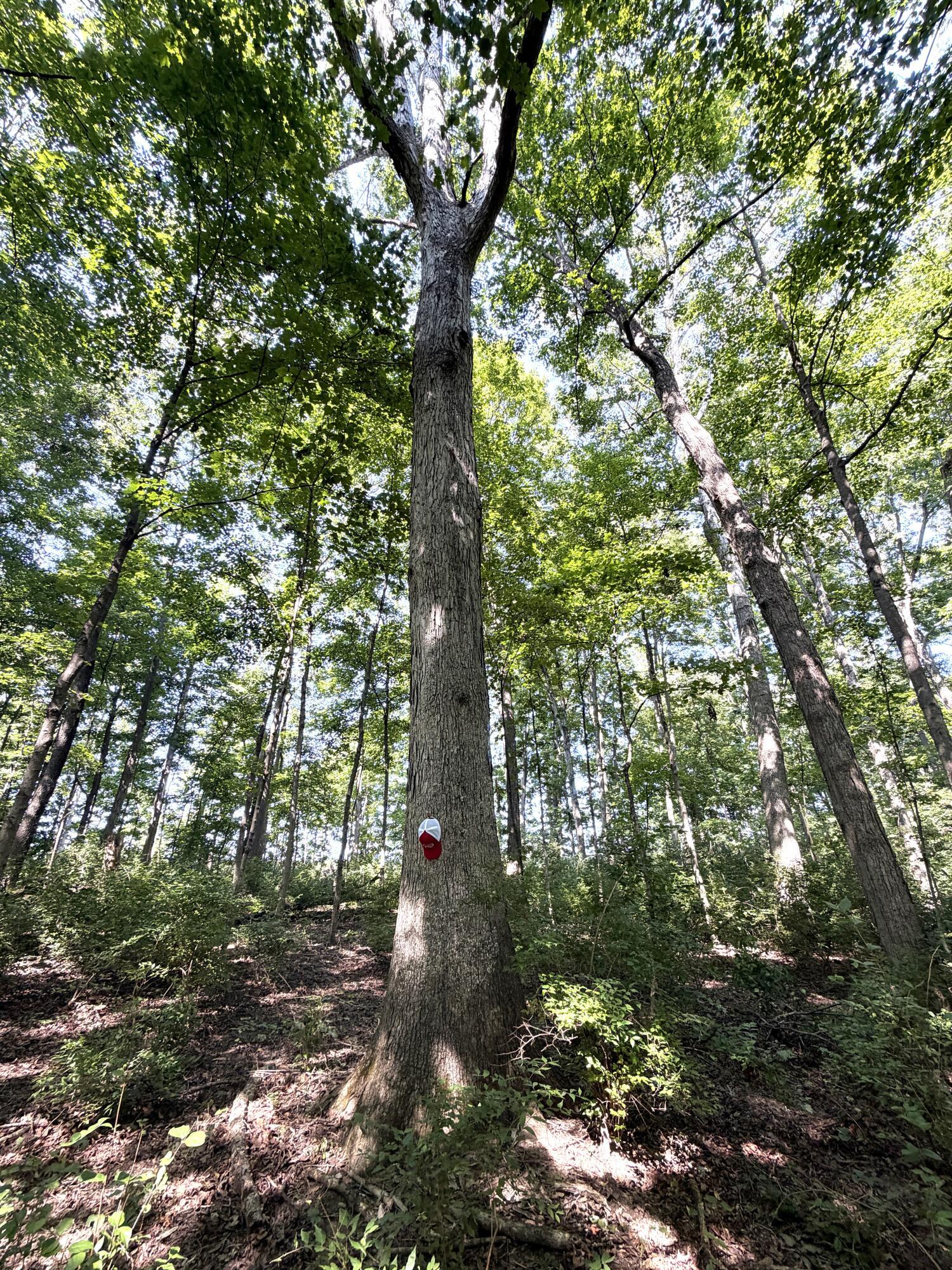 3924 State Route 131 Property Photo 85