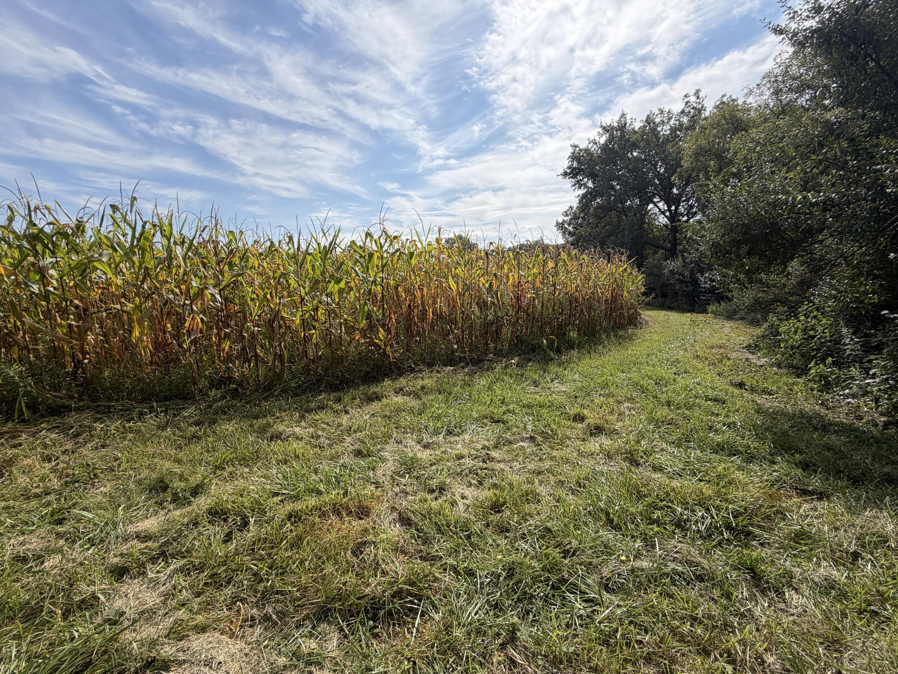 3924 State Route 131 Property Photo 86