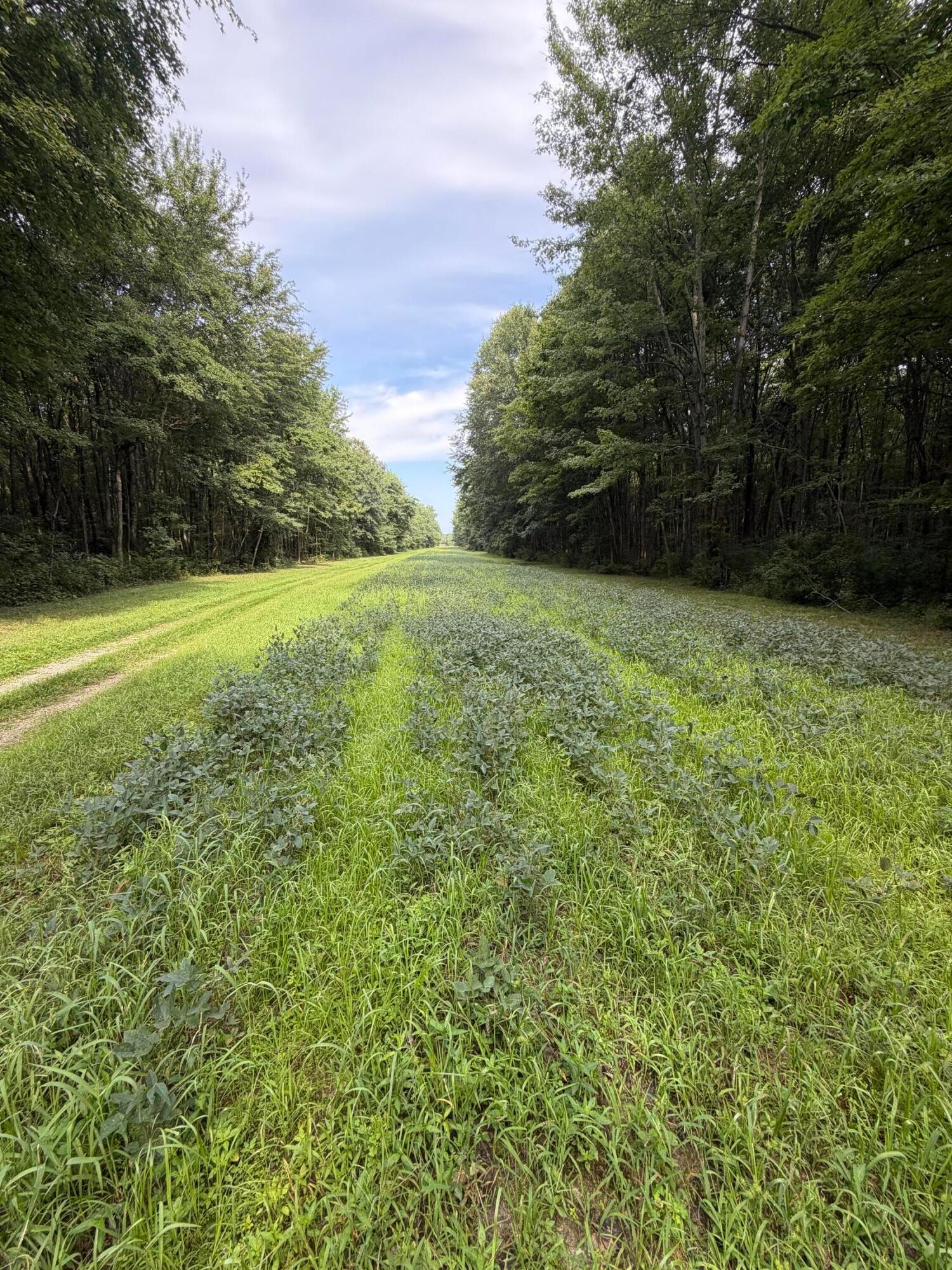 3924 State Route 131 Property Photo 89