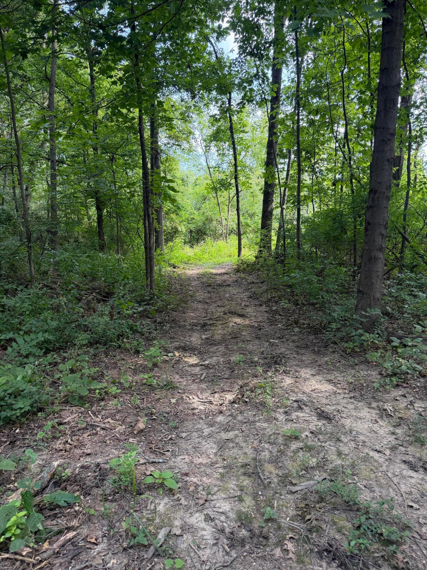 3924 State Route 131 Property Photo 90