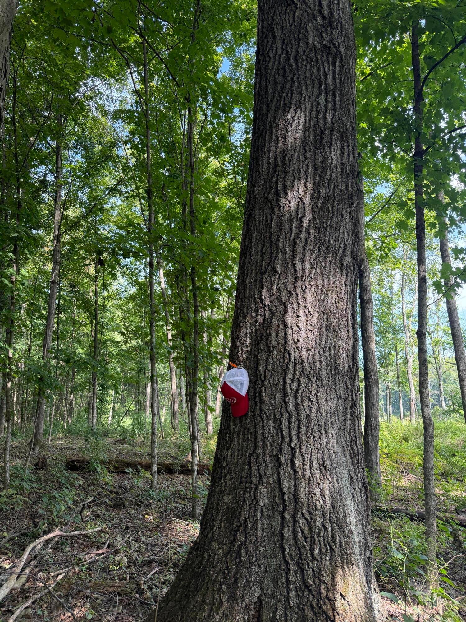 3924 State Route 131 Property Photo 91