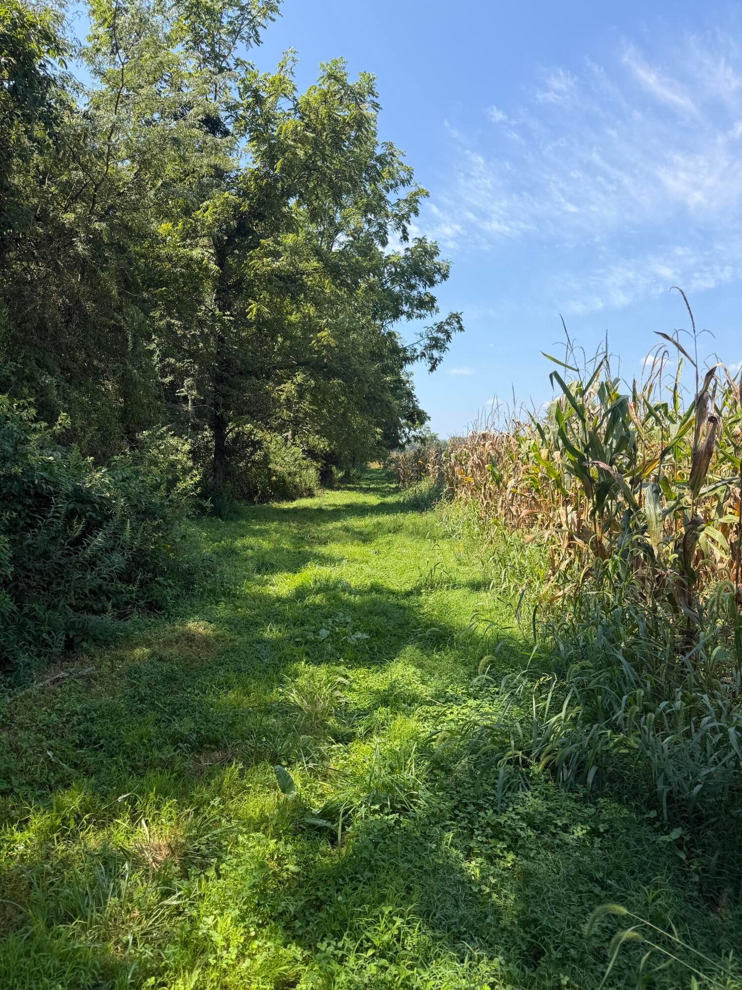 3924 State Route 131 Property Photo 92