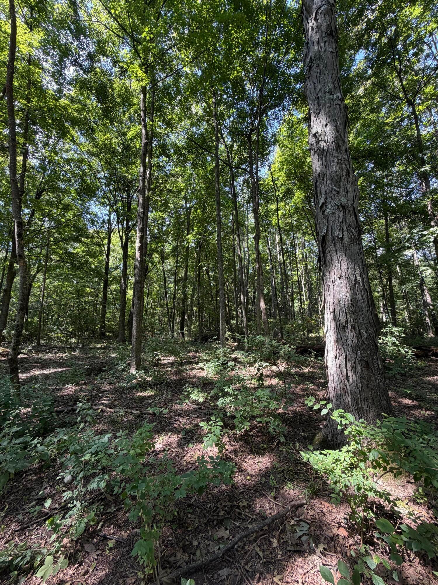 3924 State Route 131 Property Photo 93