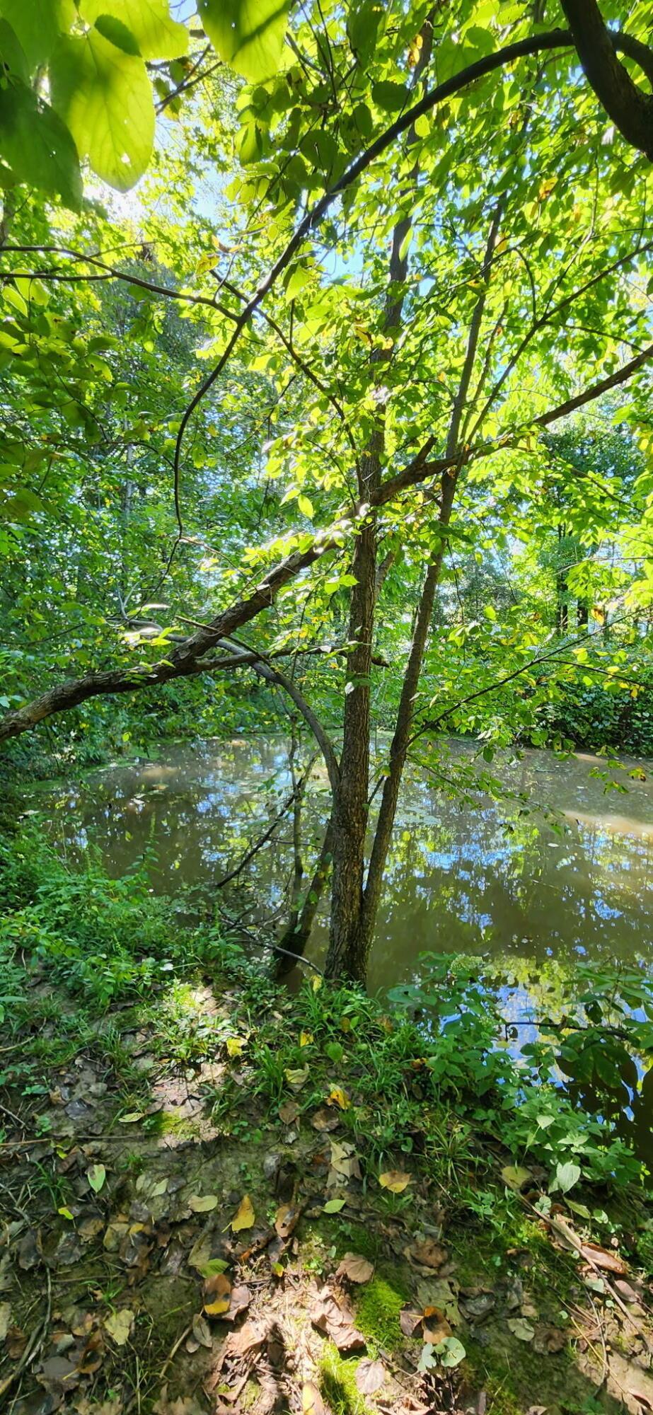 9250 Indian Mound Road Nw Property Photo 46