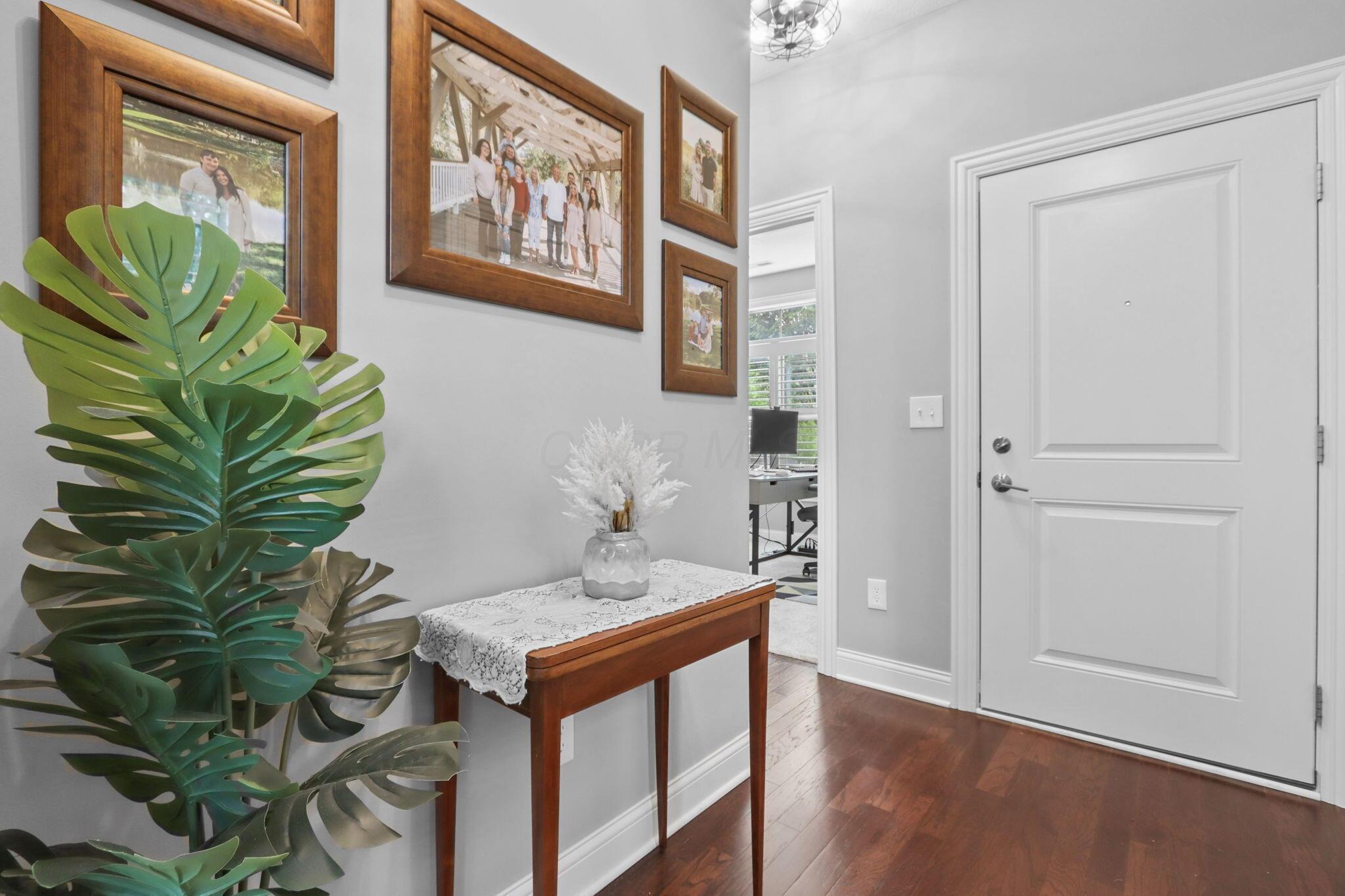 10320 Spicebrush Drive Property Photo 5