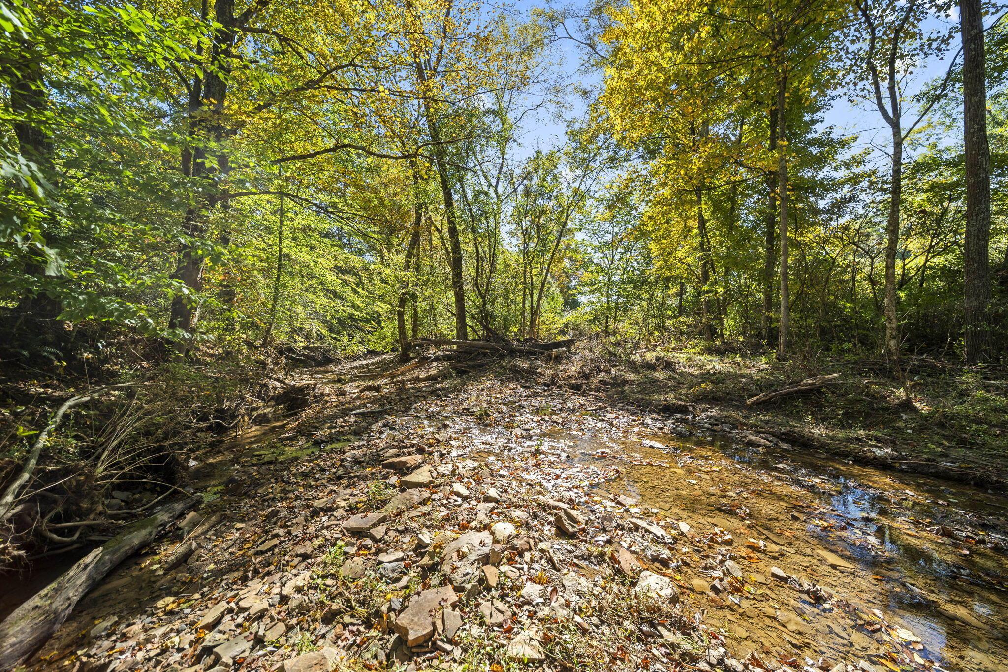 15909 Middlefork Road Property Photo 45