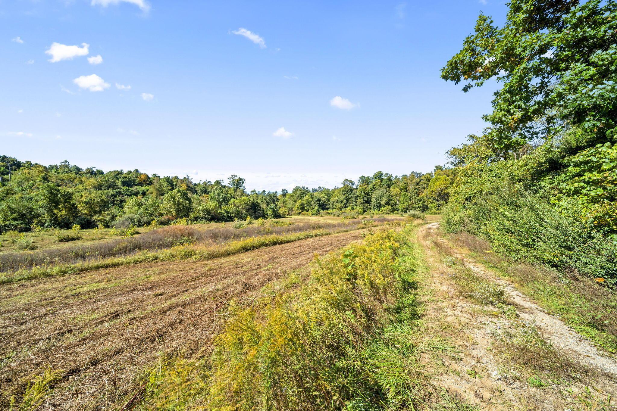 15909 Middlefork Road Property Photo 46