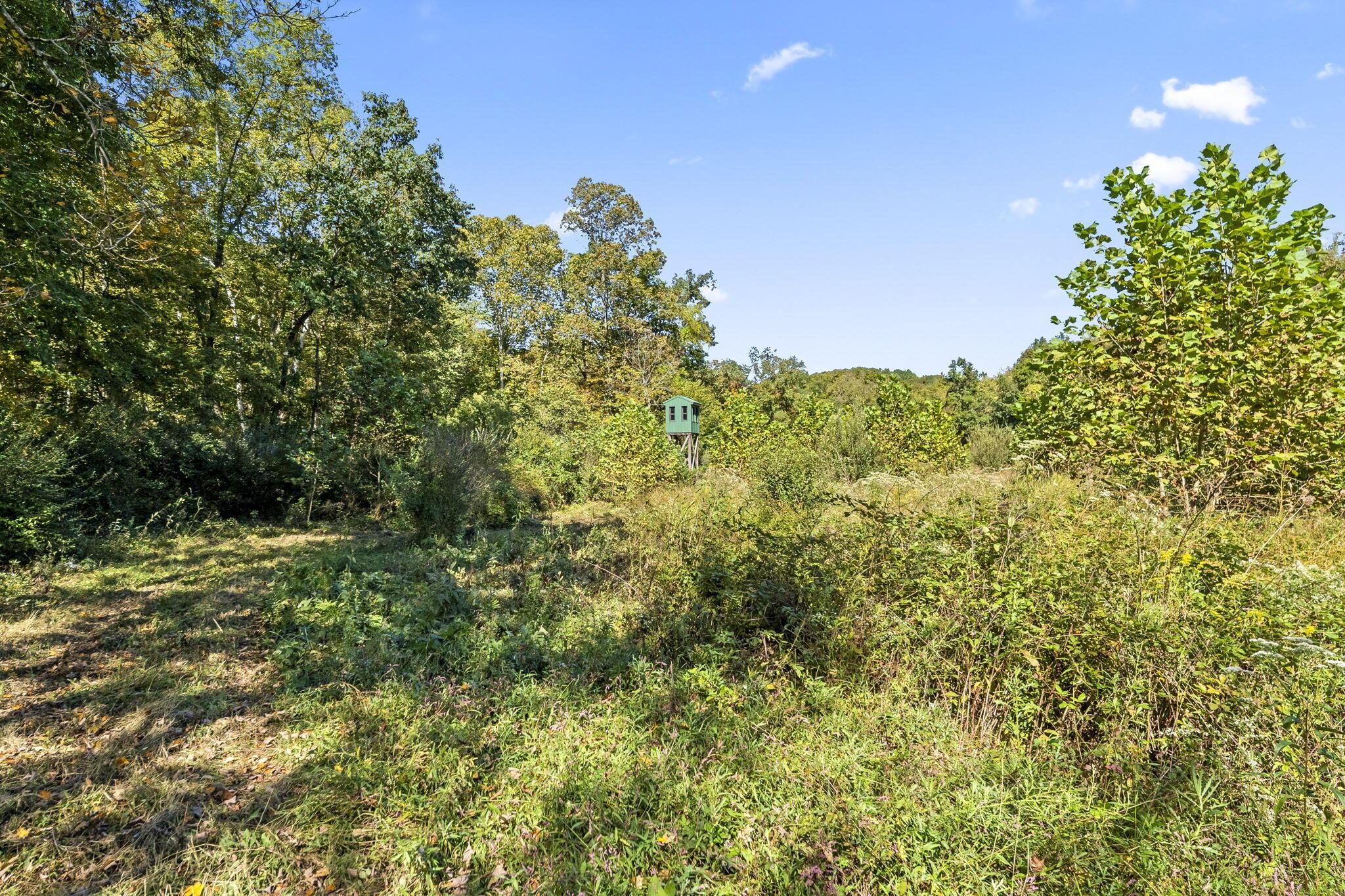 15909 Middlefork Road Property Photo 48