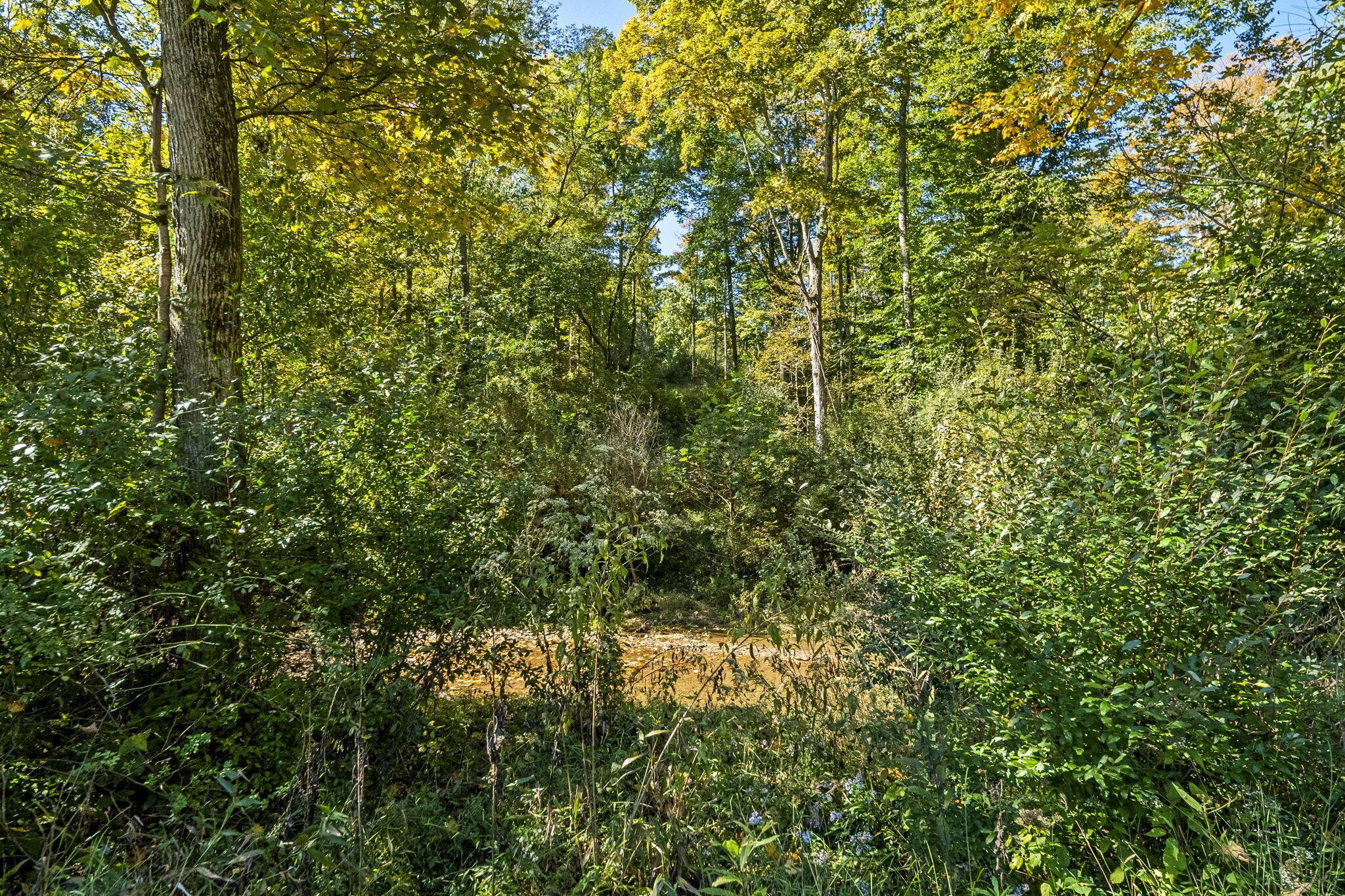 15909 Middlefork Road Property Photo 49