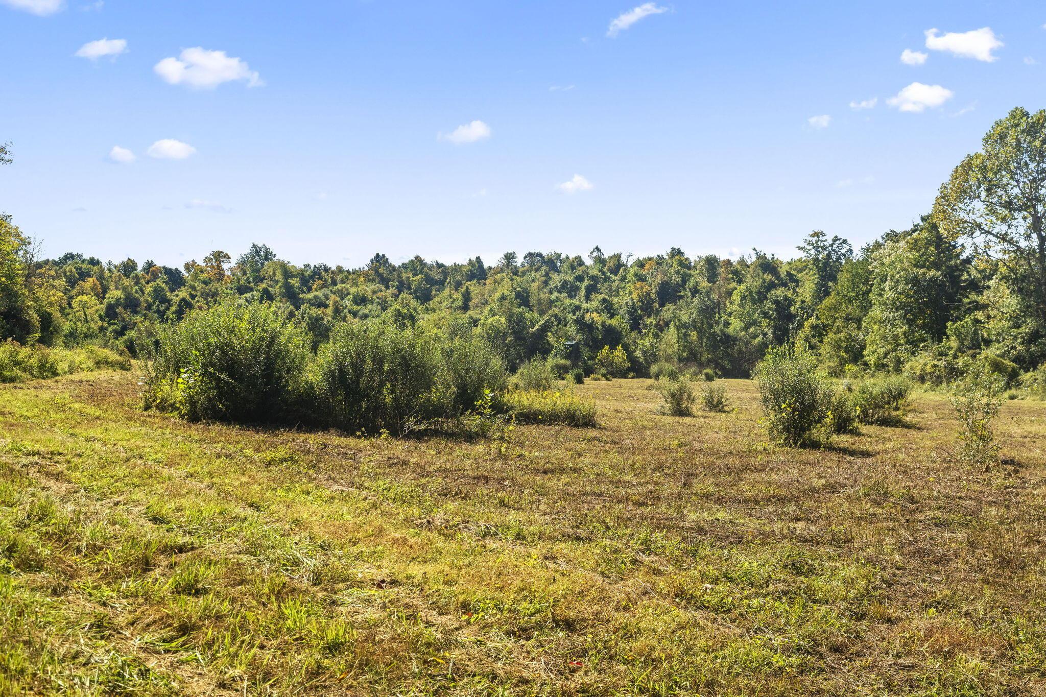 15909 Middlefork Road Property Photo 50