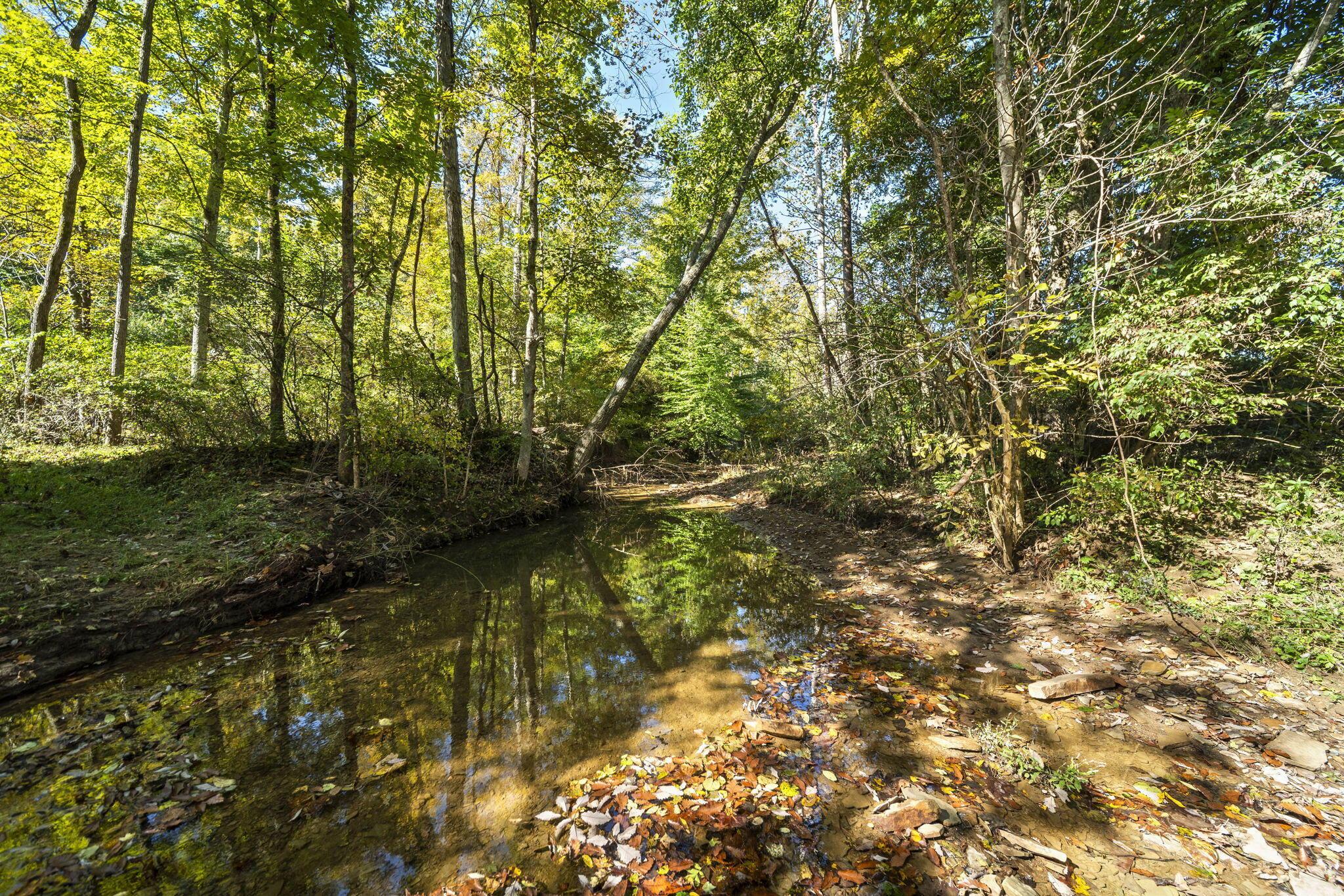 15909 Middlefork Road Property Photo 51