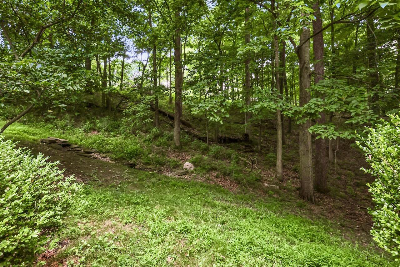 256 Pinehurst Drive Property Photo 6