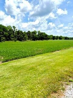 226037399 Property Photo 4