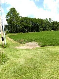 226037399 Property Photo 5