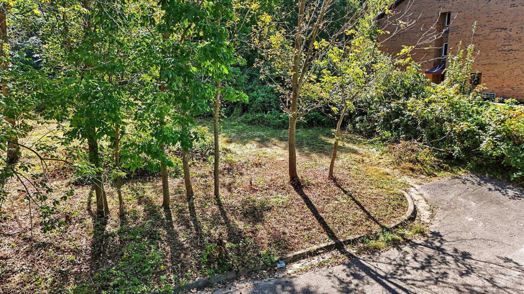0 W Walnut Street Property Photo 3