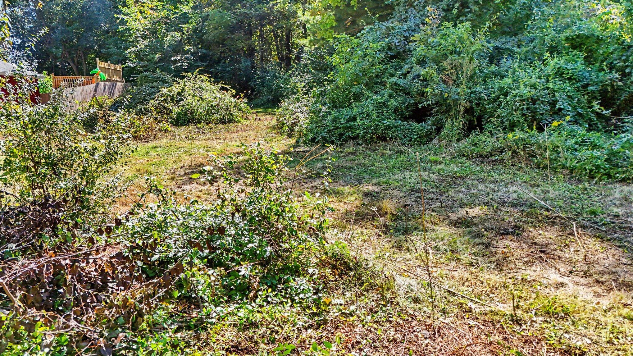 0 W Walnut Street Property Photo 5