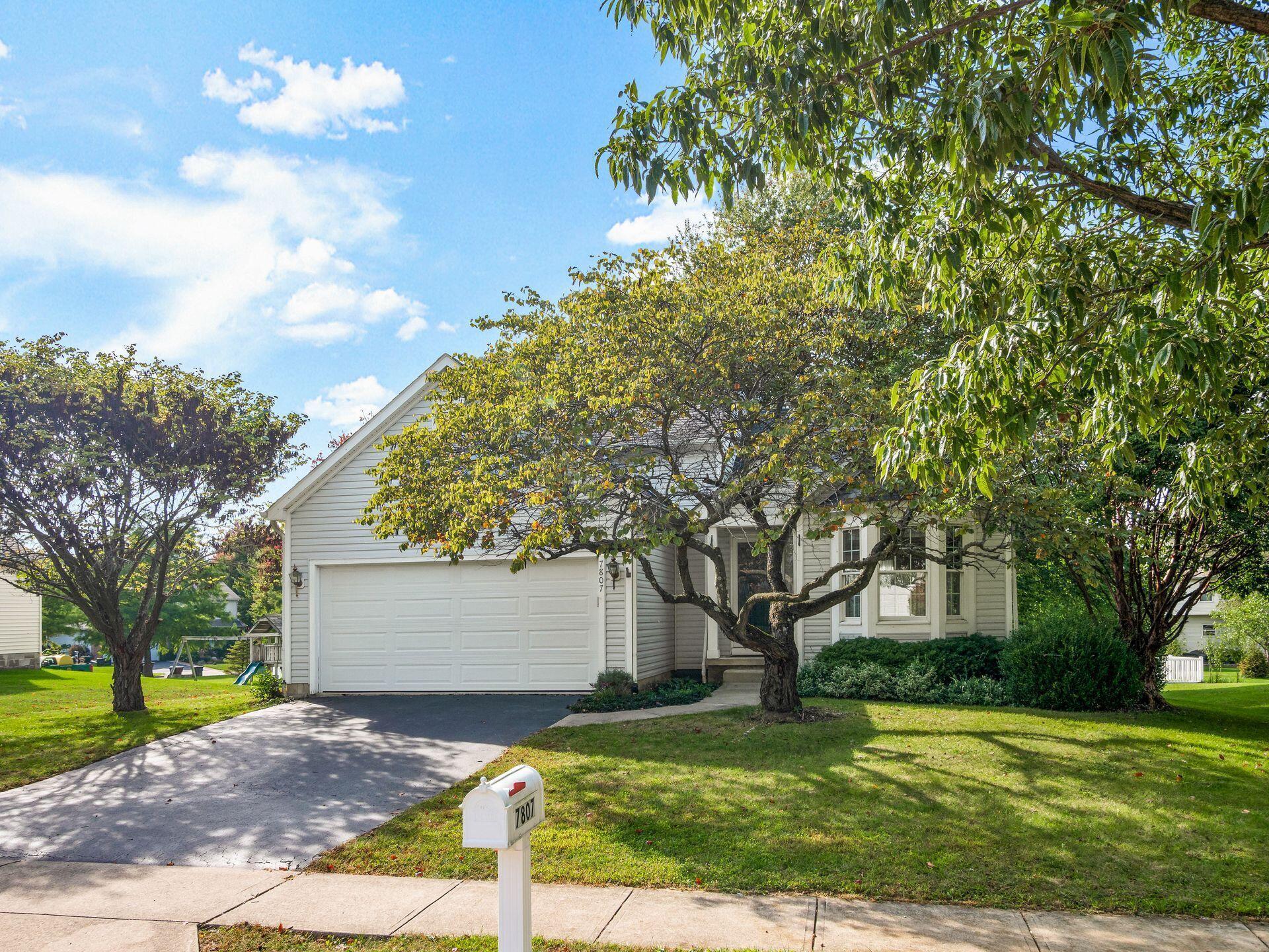 7807 Williamson Lane Property Photo 1