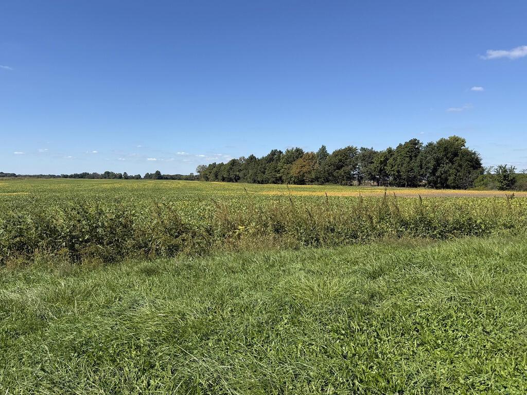 26305 Storms Road Property Photo 5