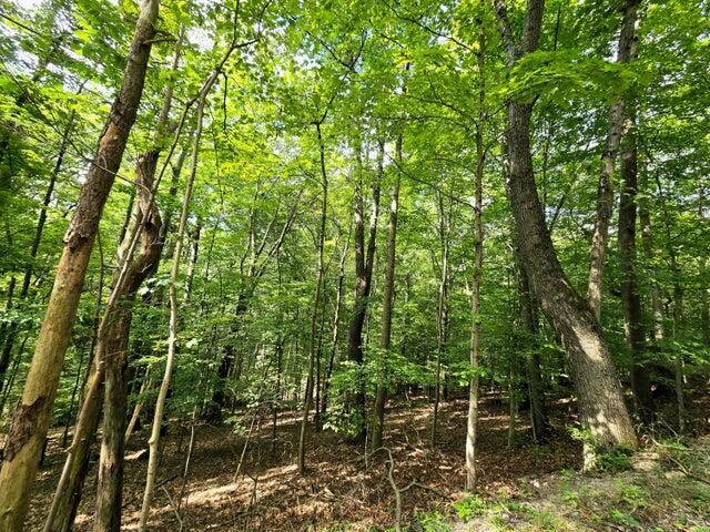 1756 Mohican Lane Property Photo 1