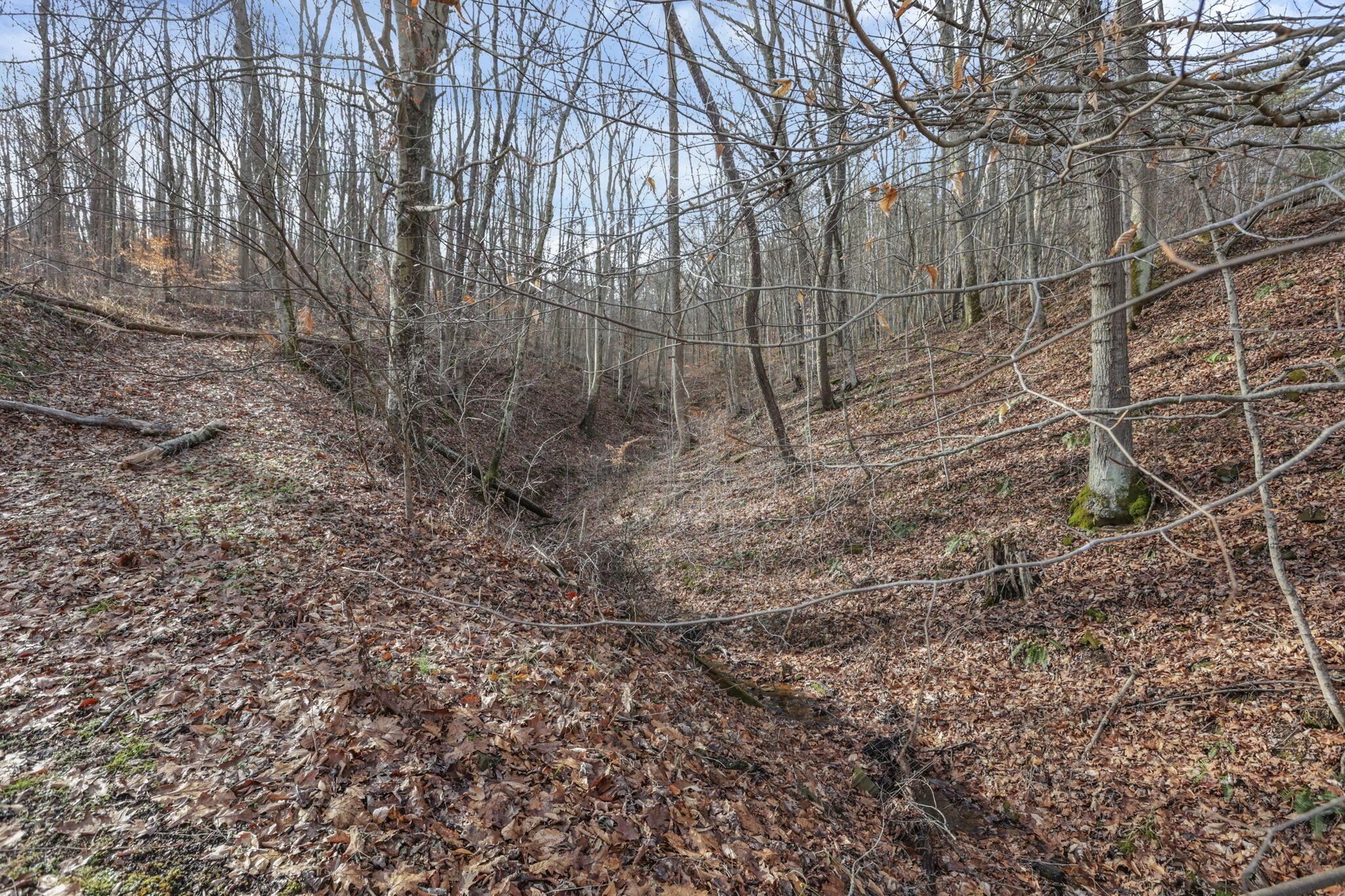 22913 Goose Creek Road Property Photo 14