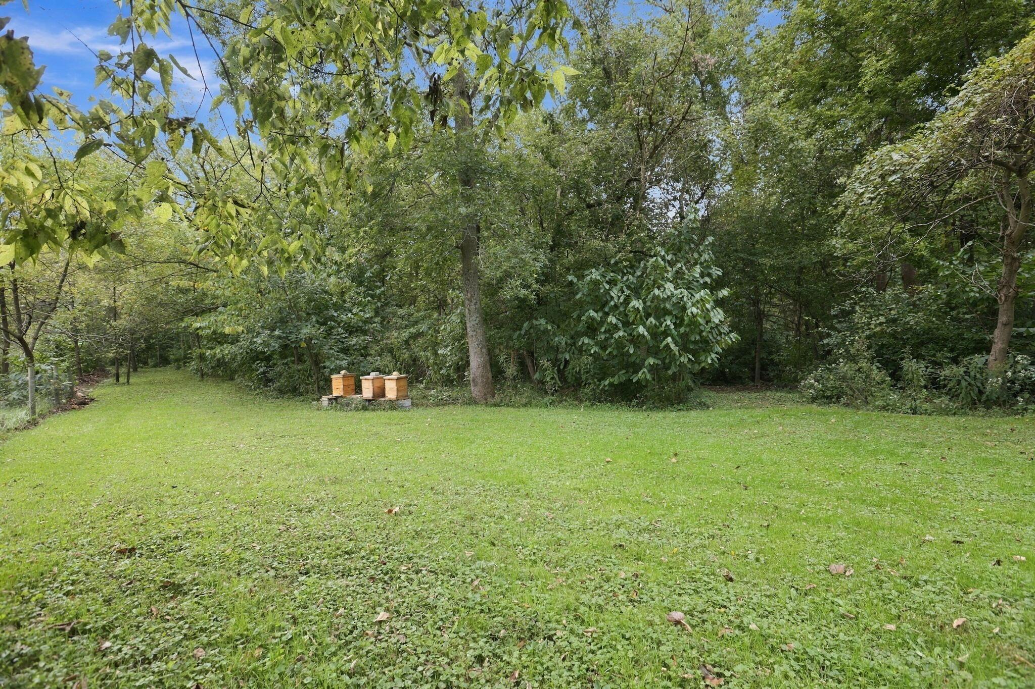5342 Headleys Mill Road Sw Property Photo 78