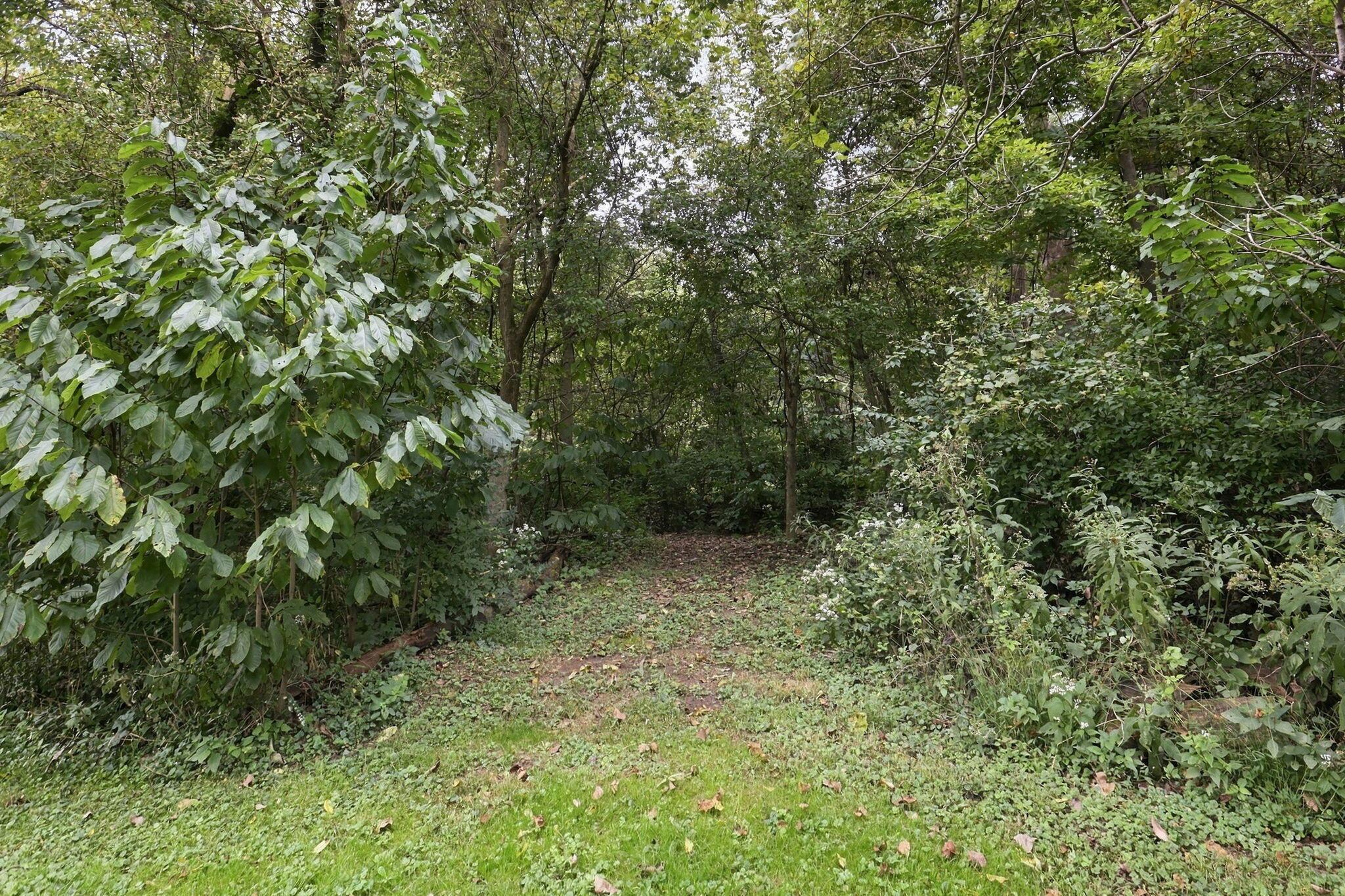 5342 Headleys Mill Road Sw Property Photo 80