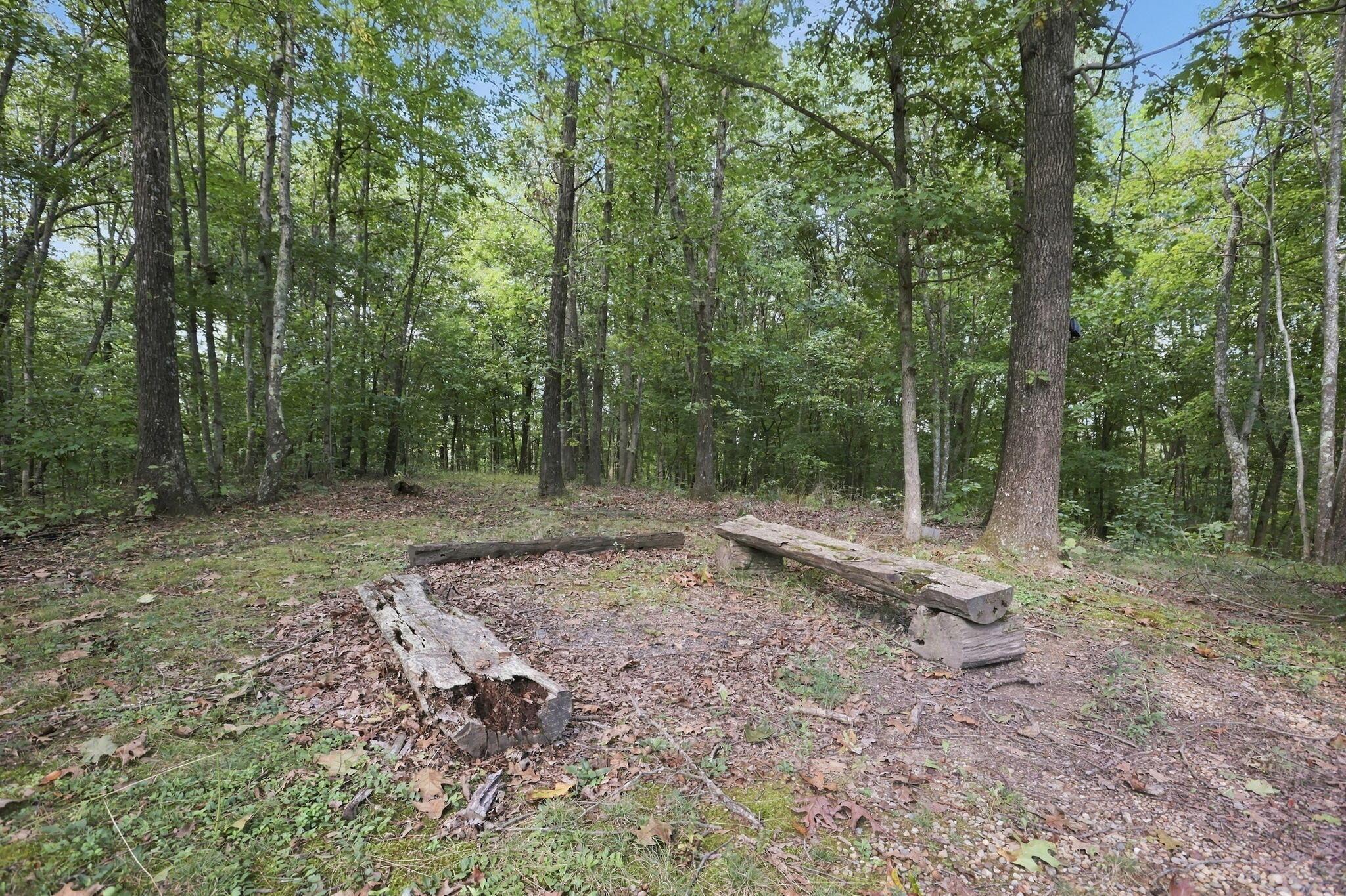 34008 W Buckingham Road Property Photo 55