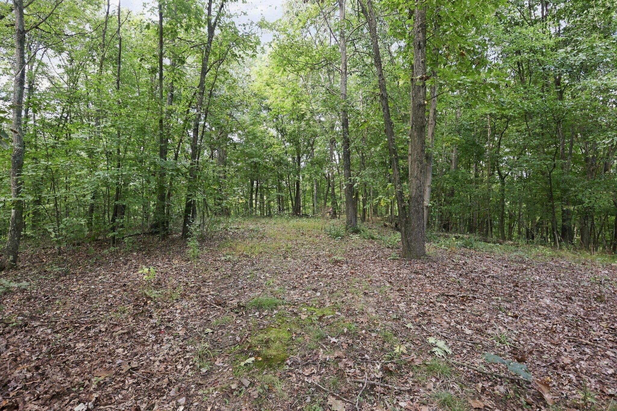 34008 W Buckingham Road Property Photo 56