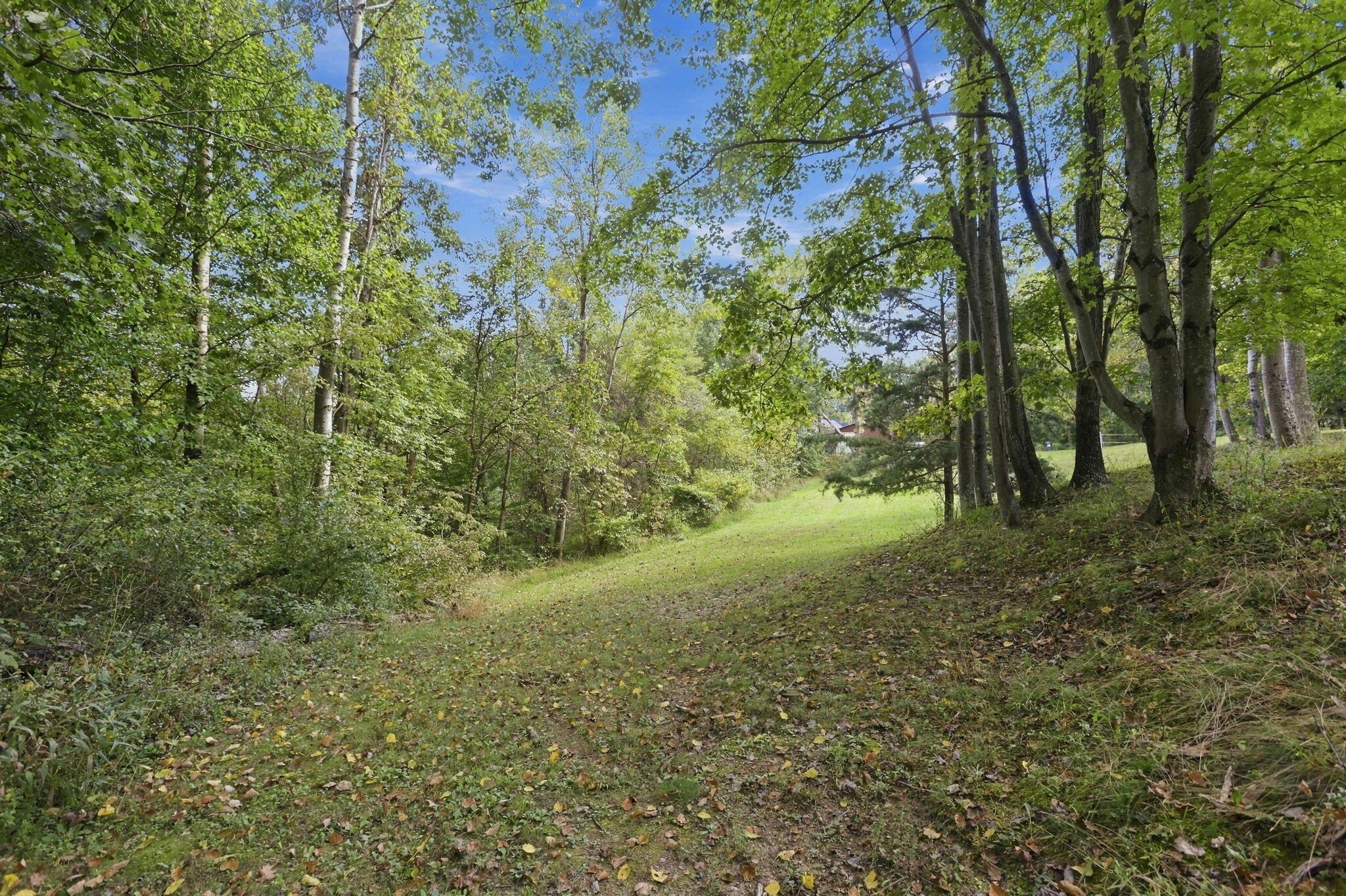 34008 W Buckingham Road Property Photo 59