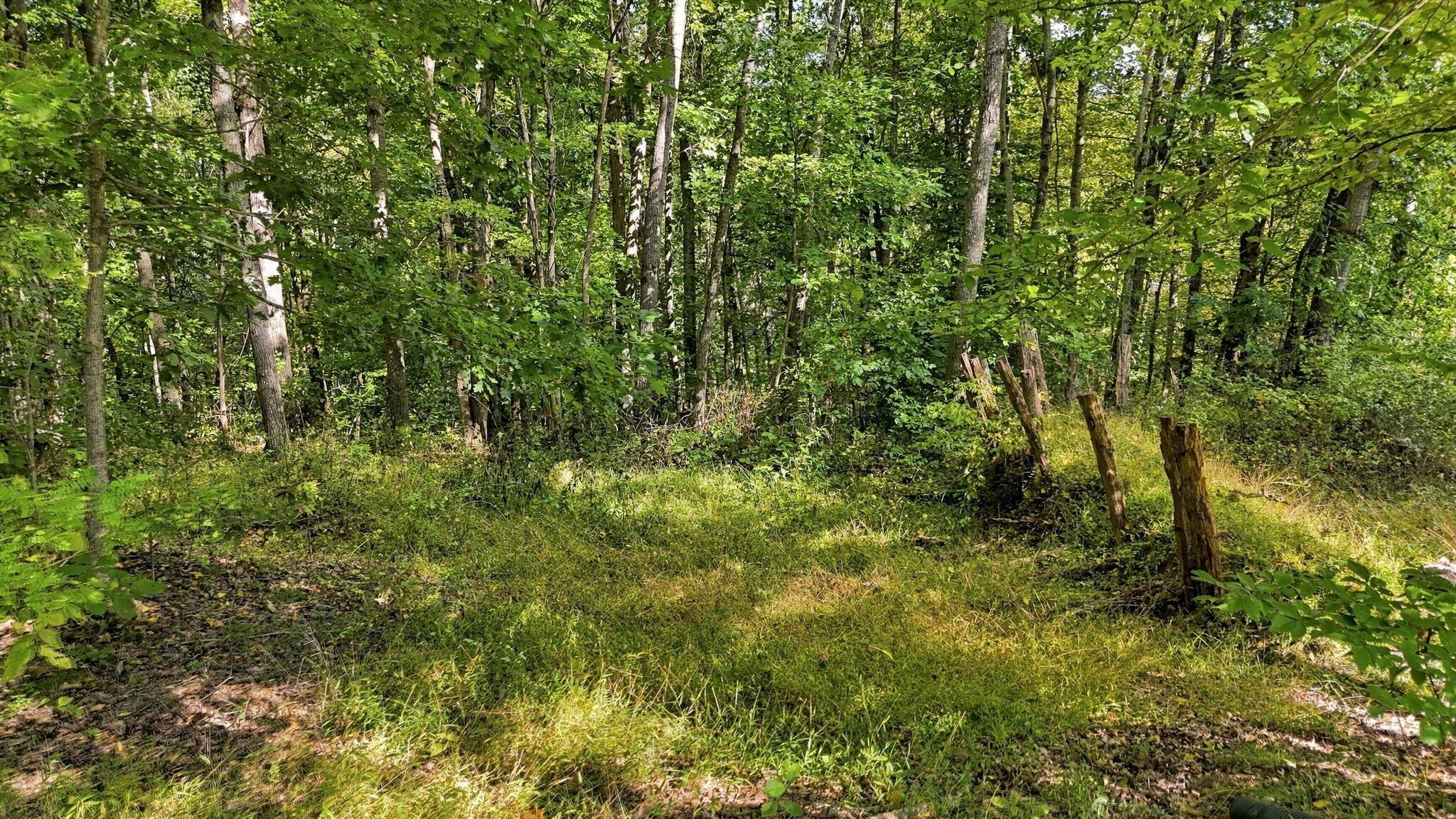 34008 W Buckingham Road Property Photo 68