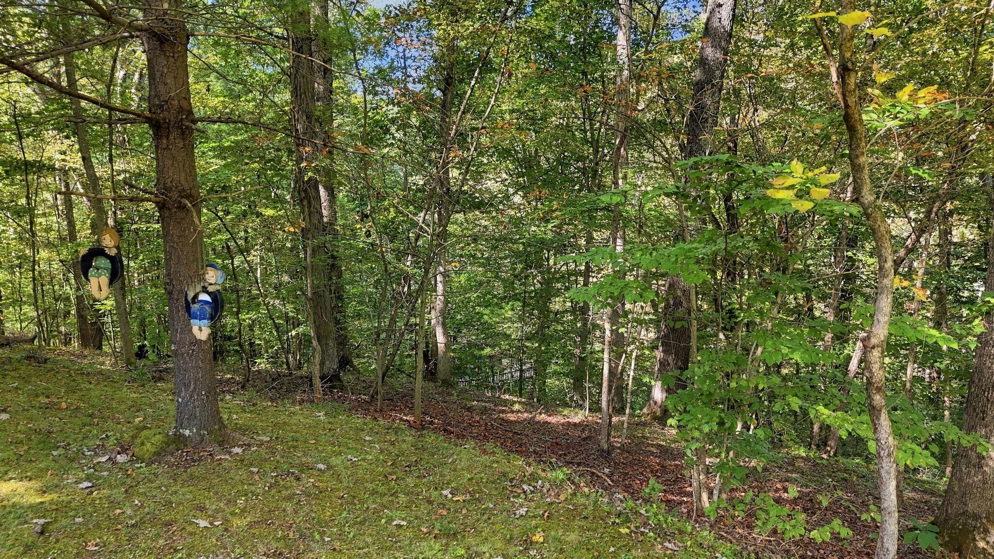34199 Keller Road Property Photo 72