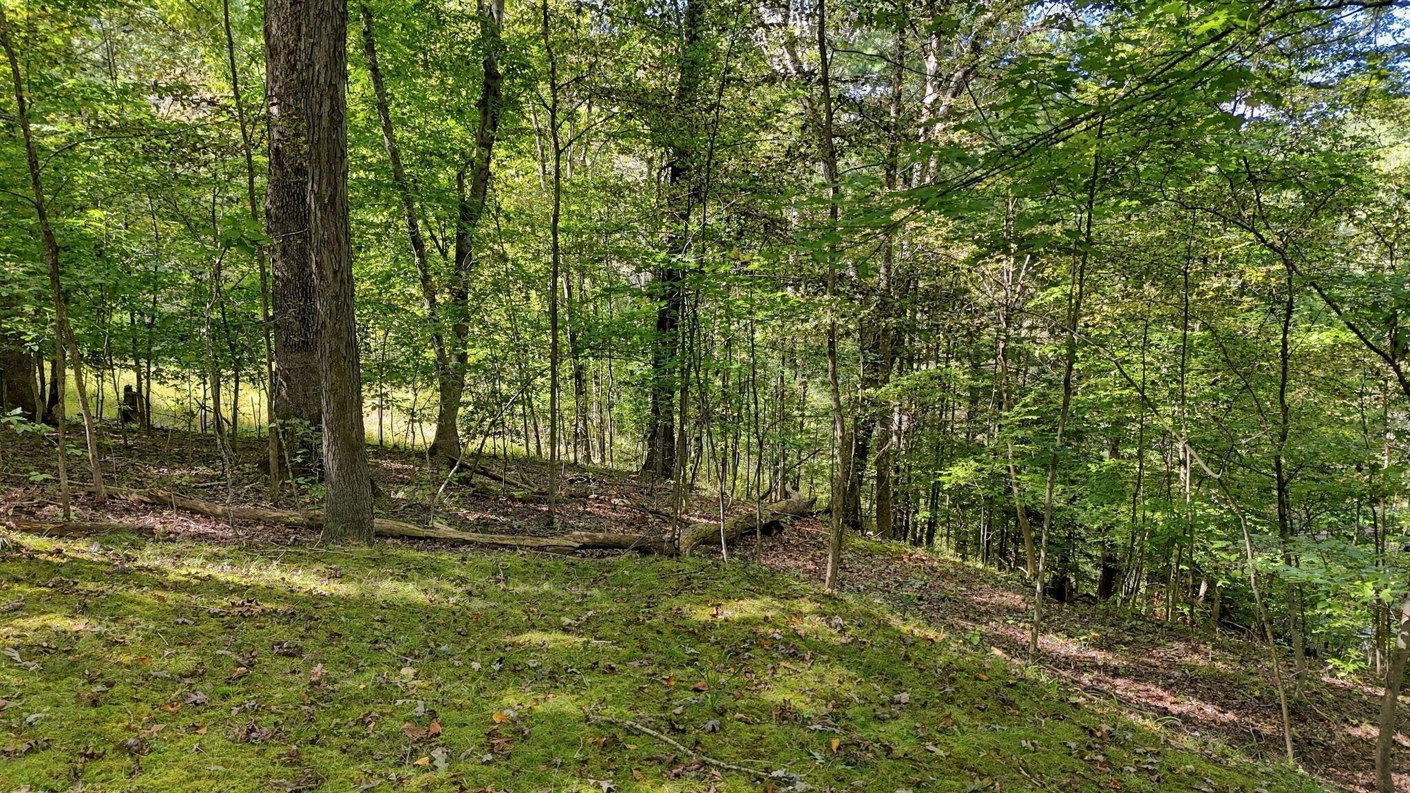 34199 Keller Road Property Photo 73