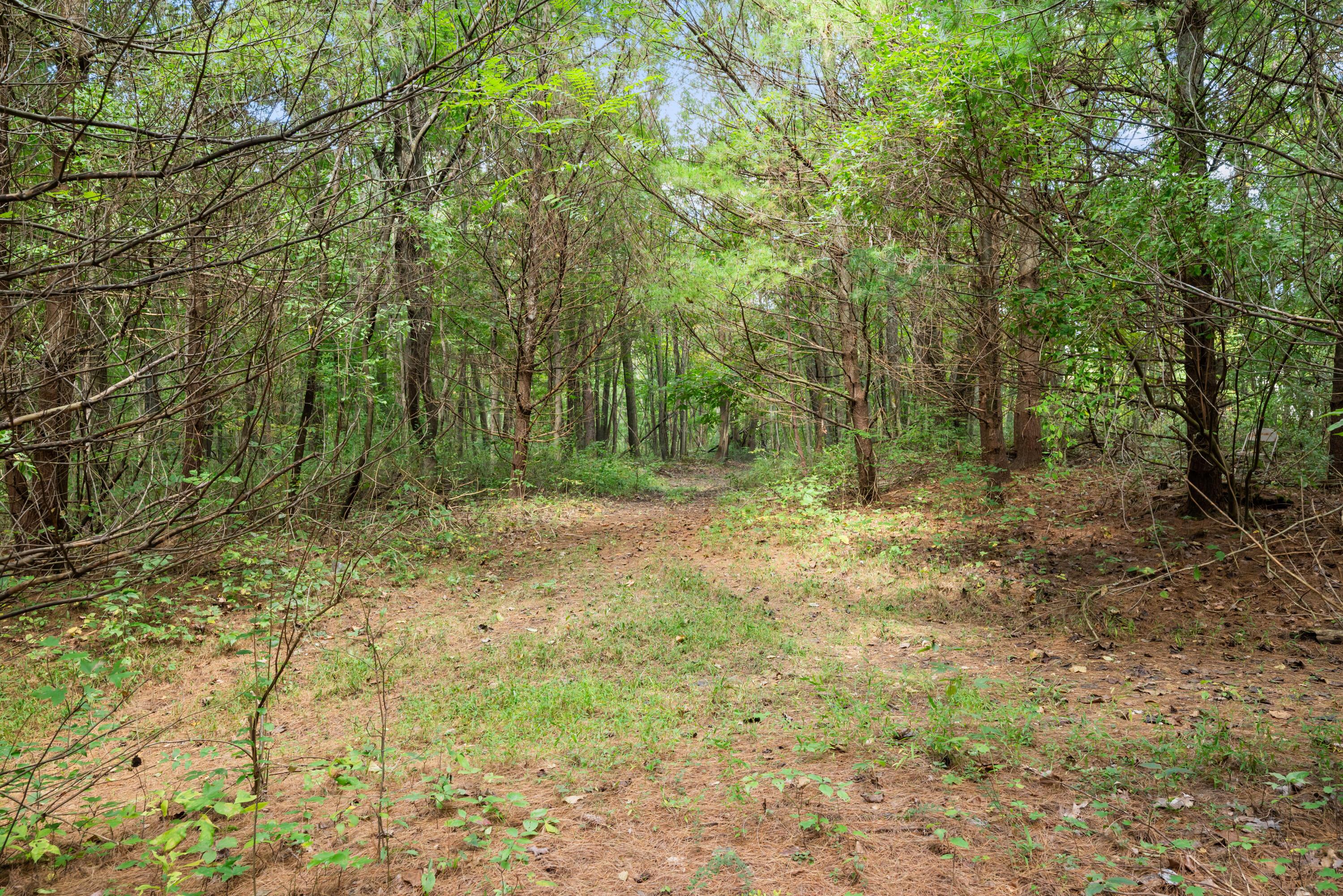 0 Township Rd 329 Property Photo 38