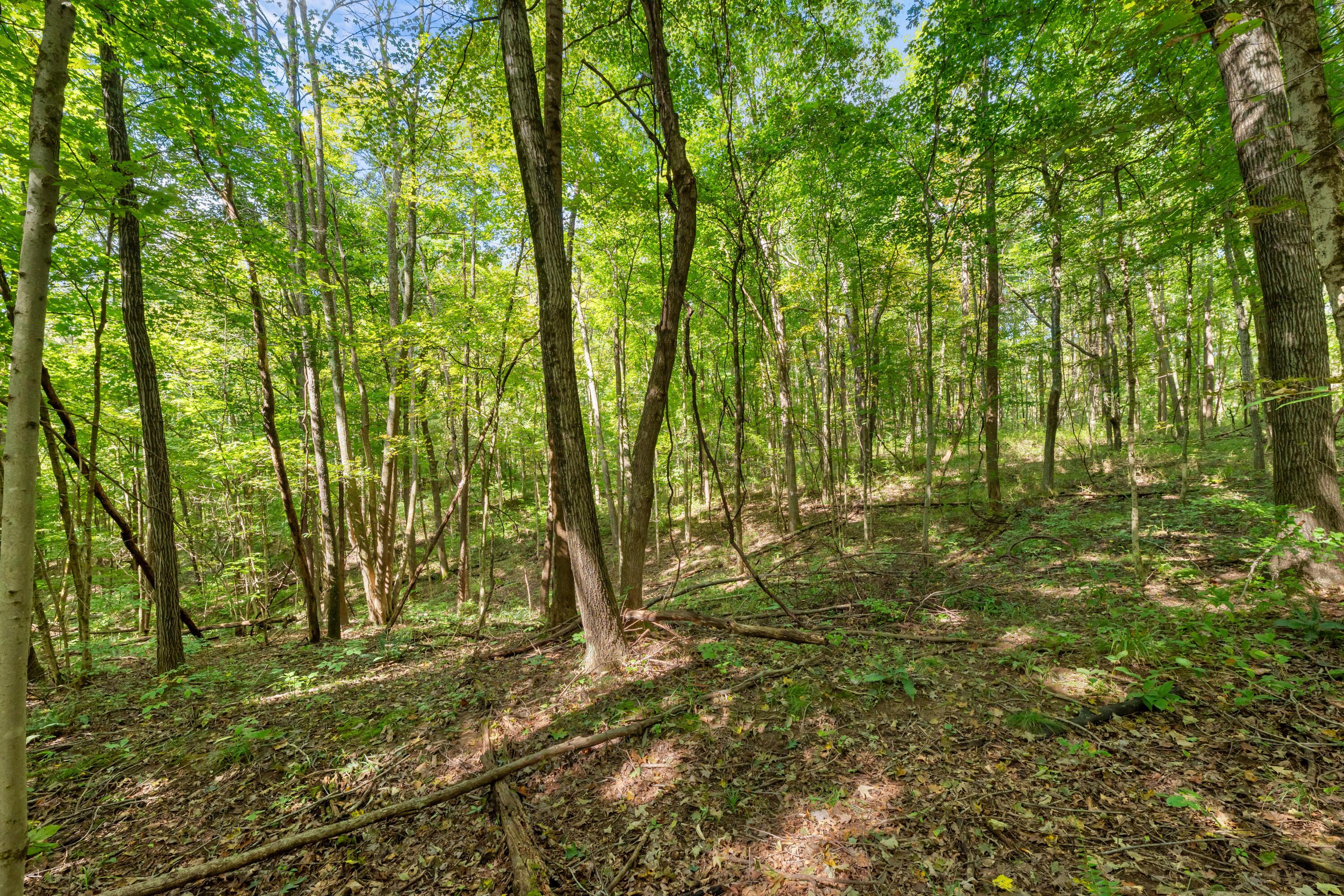 0 Township Rd 329 Property Photo 40