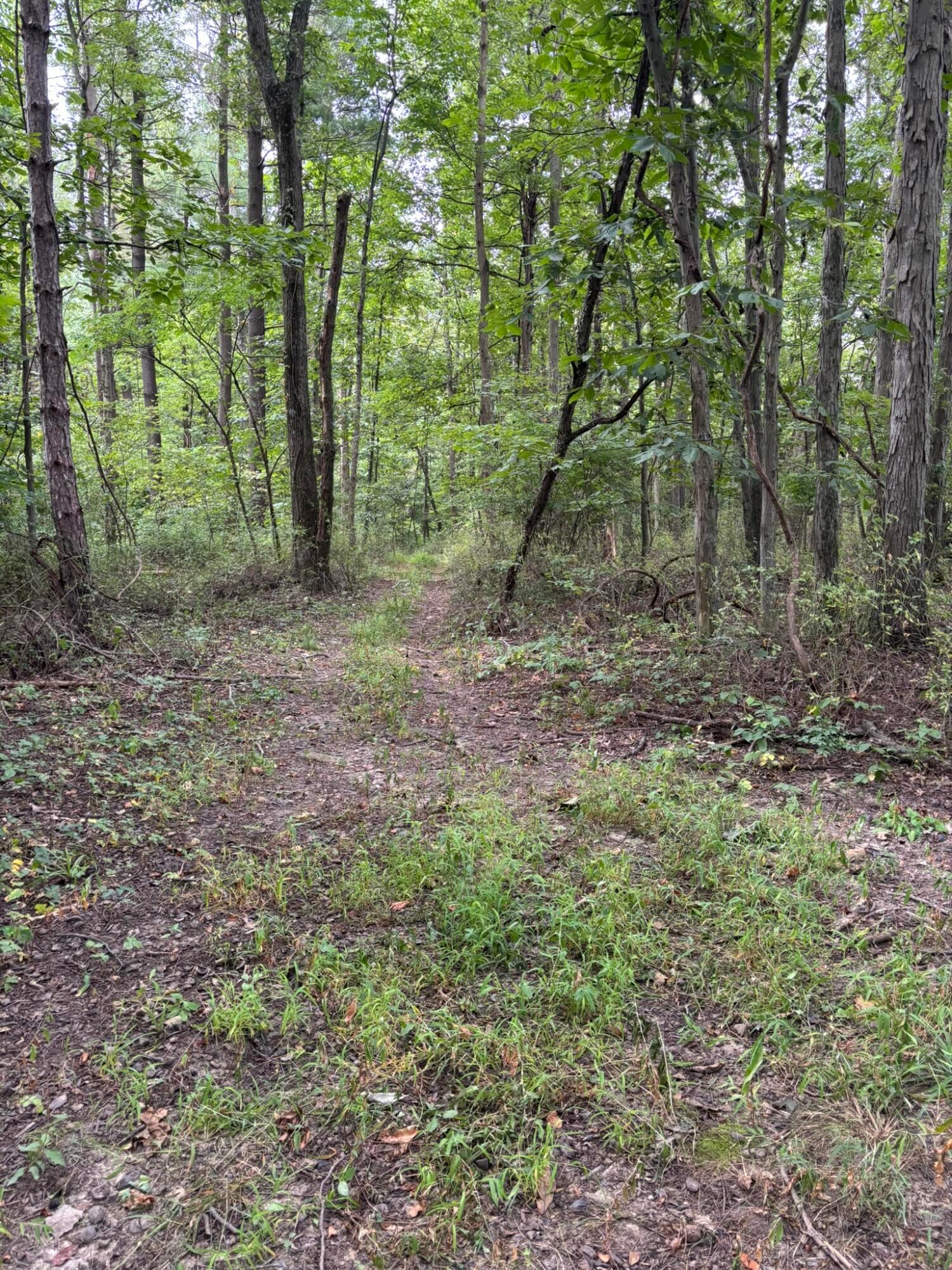 5854 Toll Gate Road Nw Property Photo 8