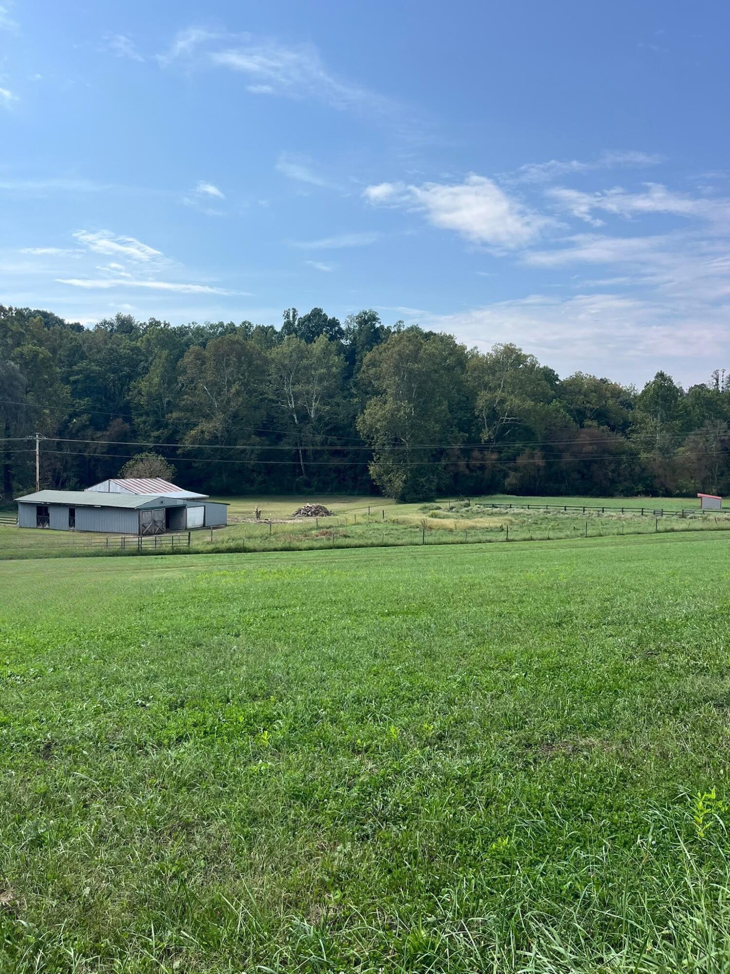 1005 Pearl Wood Road Property Photo 3