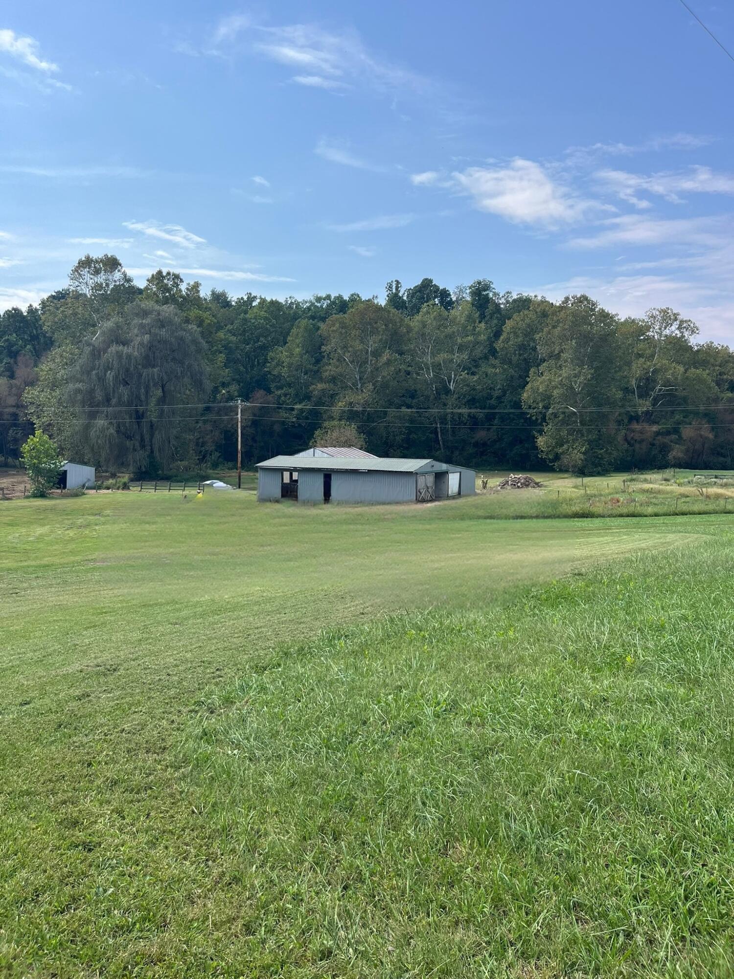 1005 Pearl Wood Road Property Photo 4