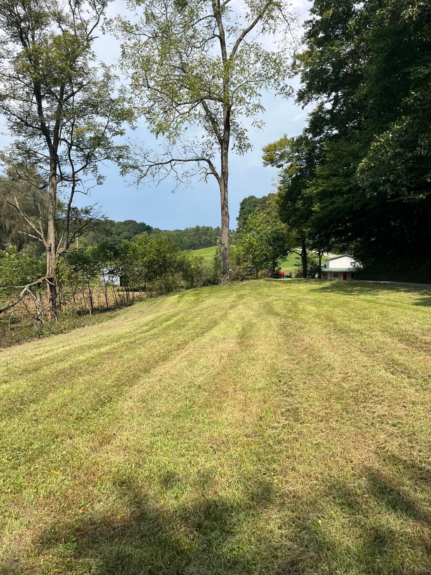 1005 Pearl Wood Road Property Photo 8