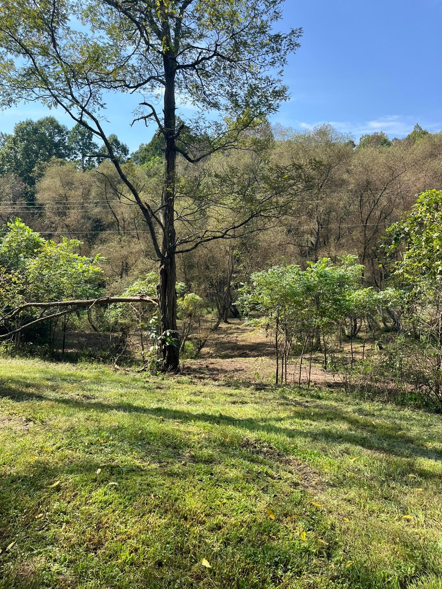 1005 Pearl Wood Road Property Photo 9