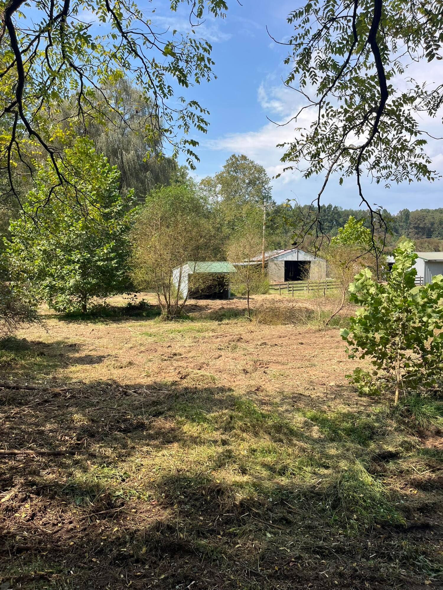 1005 Pearl Wood Road Property Photo 14