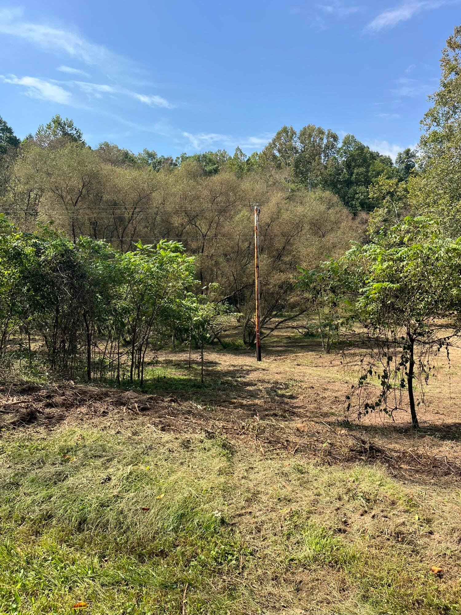 1005 Pearl Wood Road Property Photo 22