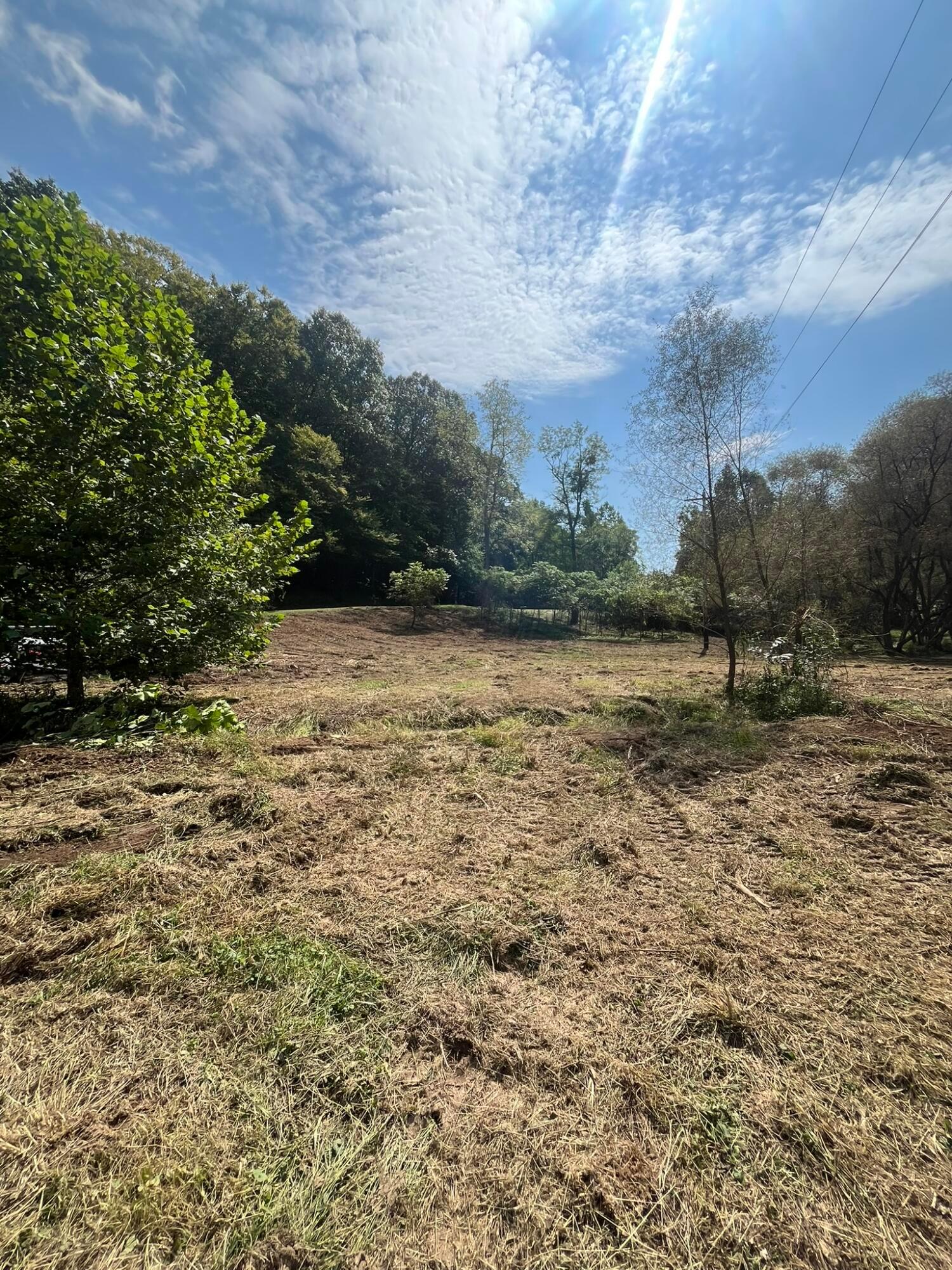 1005 Pearl Wood Road Property Photo 24
