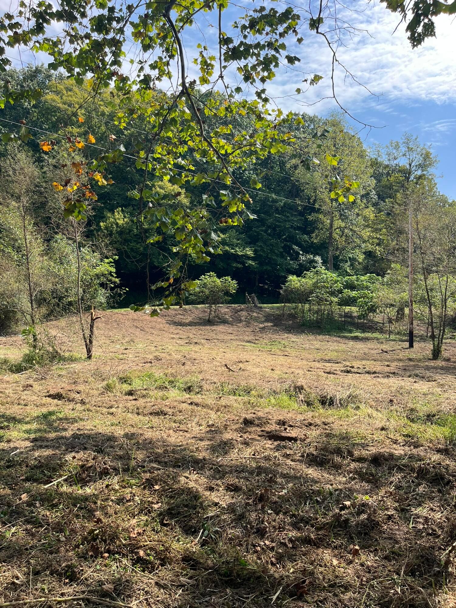 1005 Pearl Wood Road Property Photo 26