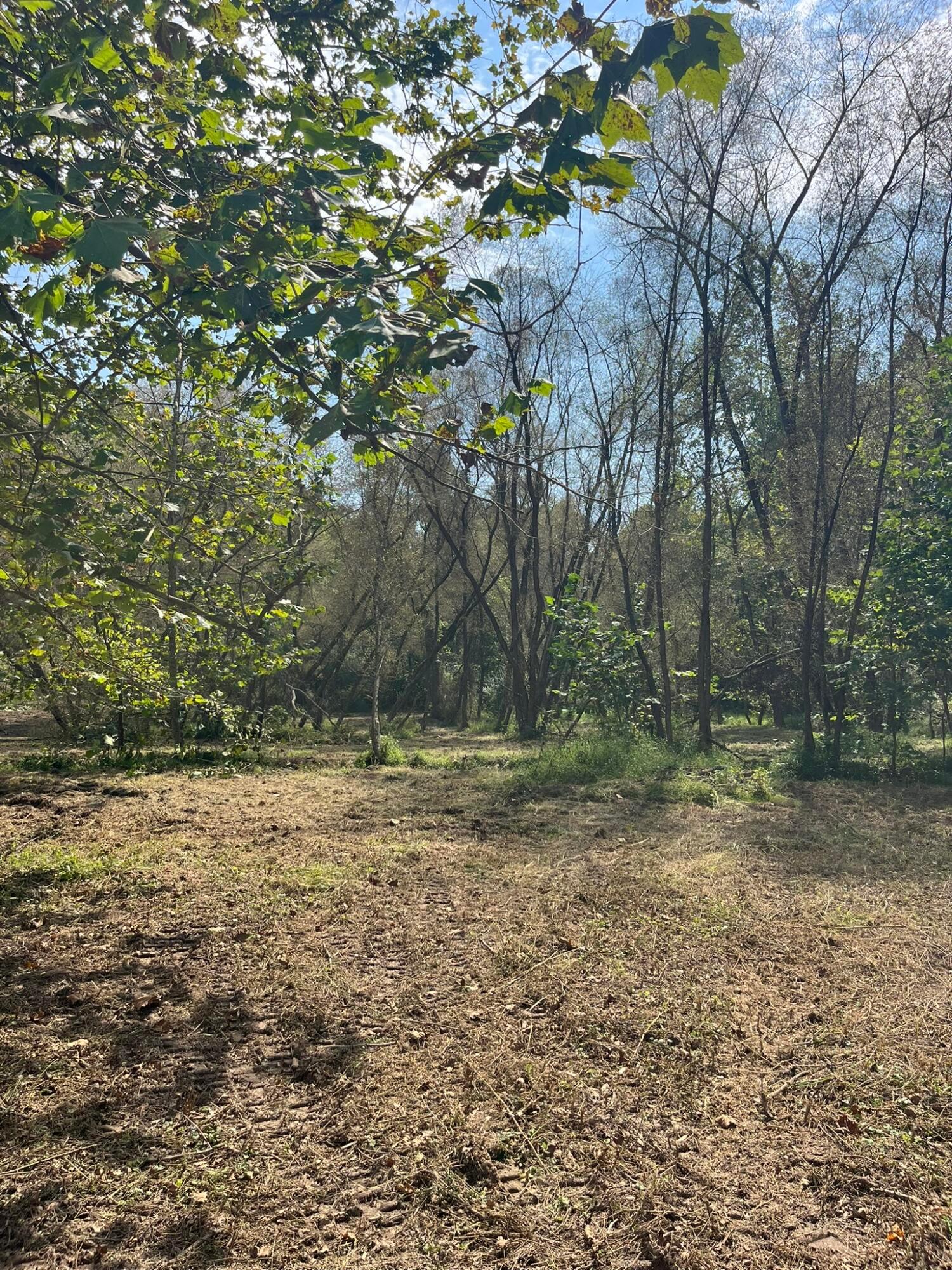 1005 Pearl Wood Road Property Photo 27