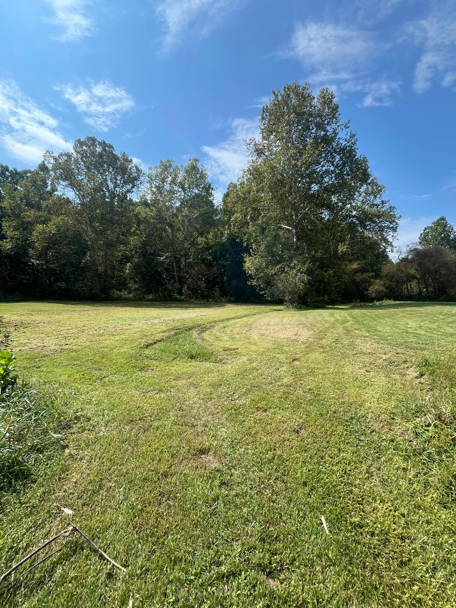 1005 Pearl Wood Road Property Photo 29