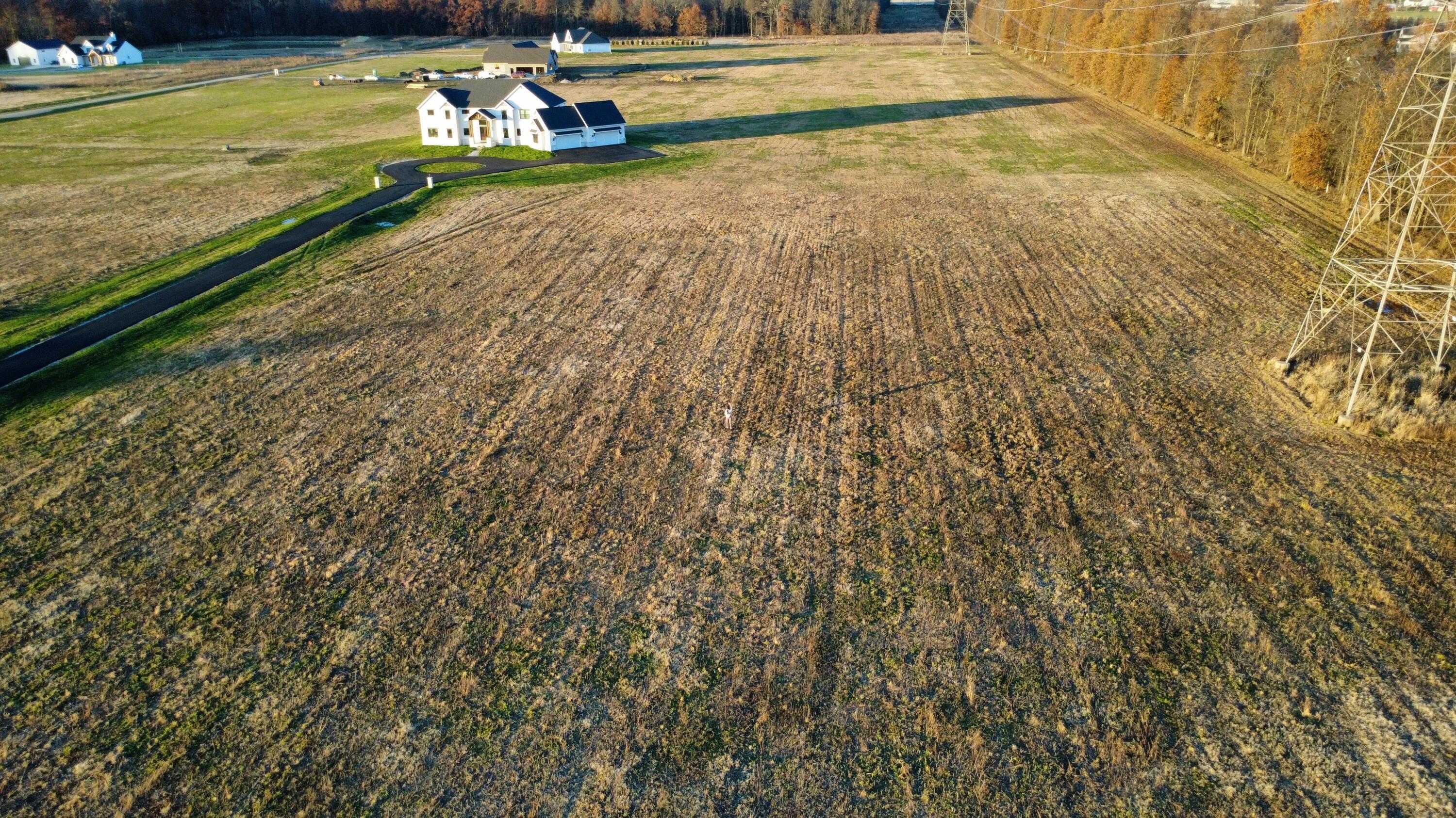 12235 Woodtown Road Property Photo 4