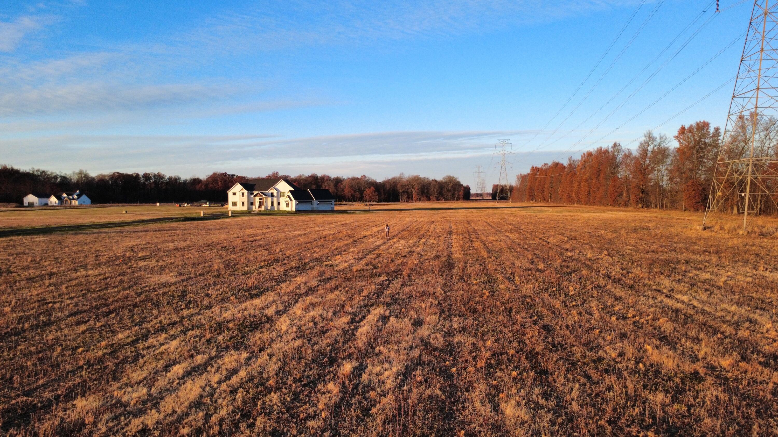 12235 Woodtown Road Property Photo 5