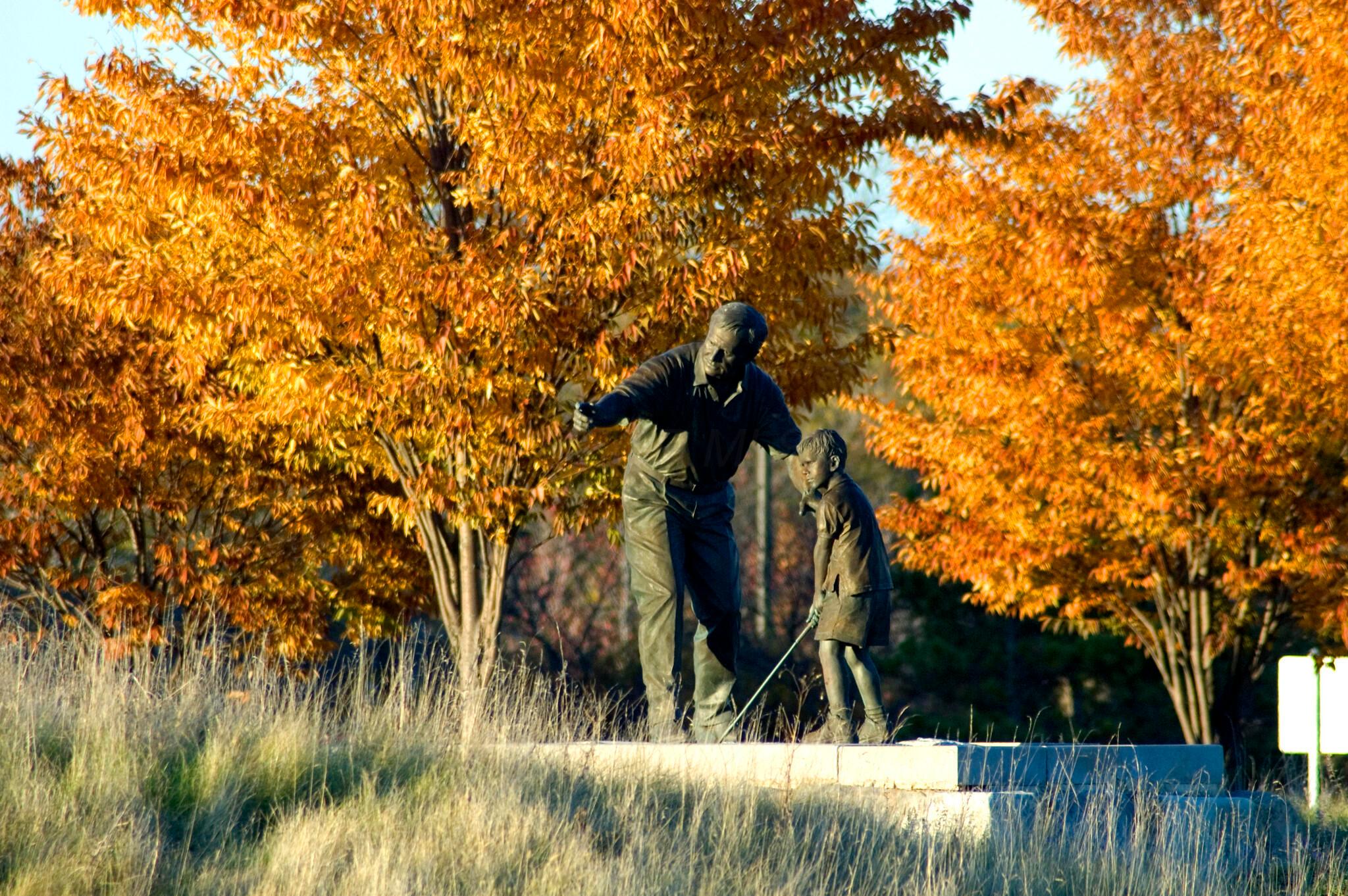 6137 Holywell Drive Property Photo 113
