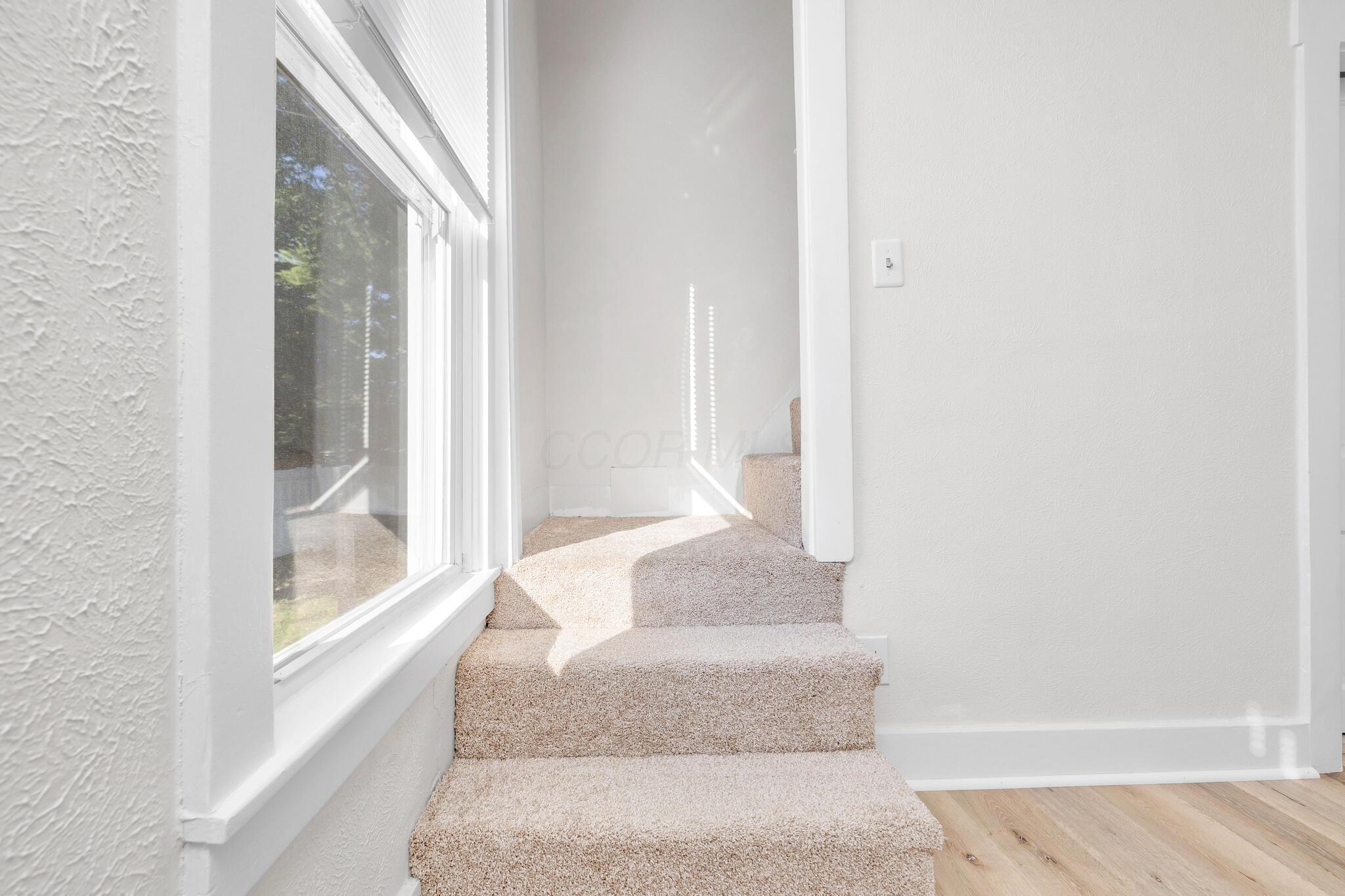 548 Center Avenue Property Photo 24