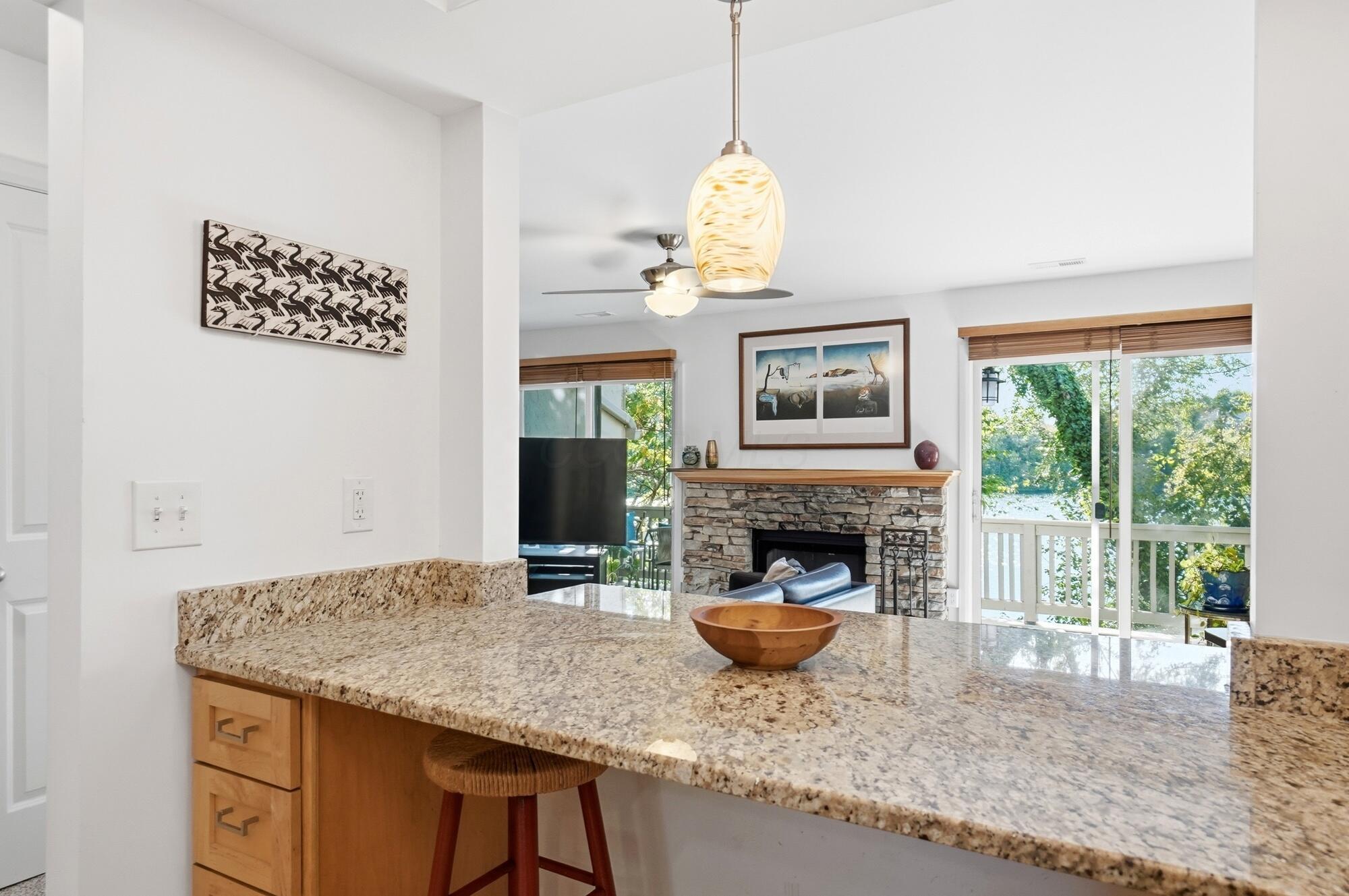 1321 Lake Shore Drive, 176 Property Photo 4
